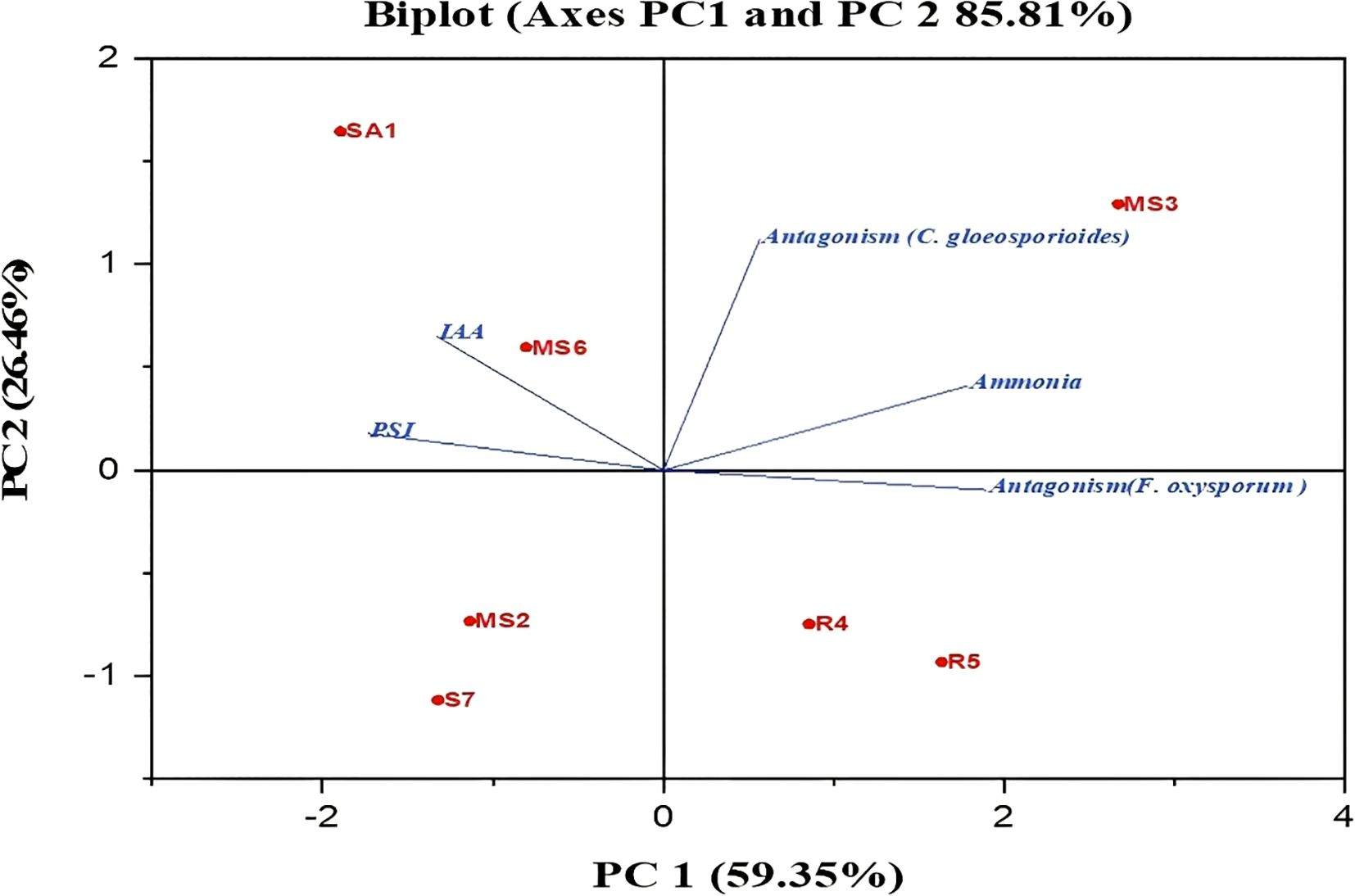 Biplot showing the principal components PC1 at 59.35% and PC2 at 26.46%, explaining a total of 85.81% of the variance. Red points labeled SA1, MS3, MS6, MS2, S7, R4, and R5 indicate sample positions. Blue vectors represent variables: Antagonism (C. gloeosporioides), IAA, PSI, Ammonia, and Antagonism (F. oxysporum).