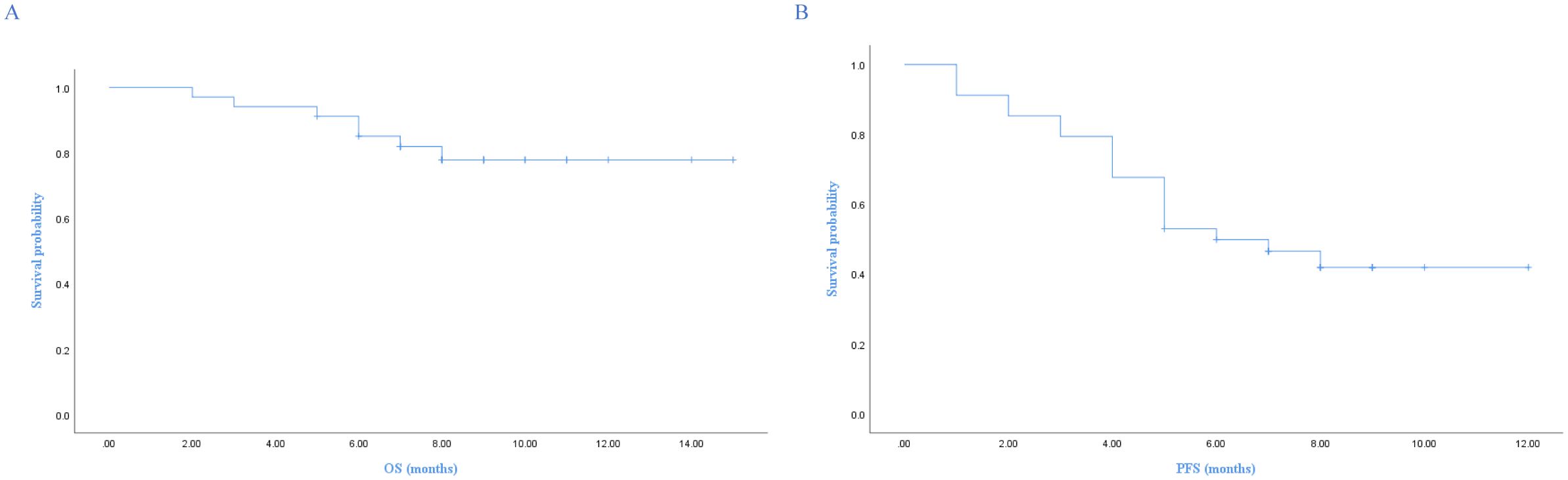 Two Kaplan-Meier survival curves are shown. Chart A depicts overall survival probability over months, starting at 1.0 and slightly decreasing. Chart B illustrates progression-free survival, with a more pronounced decrease. Both charts use survival probability as the vertical axis.