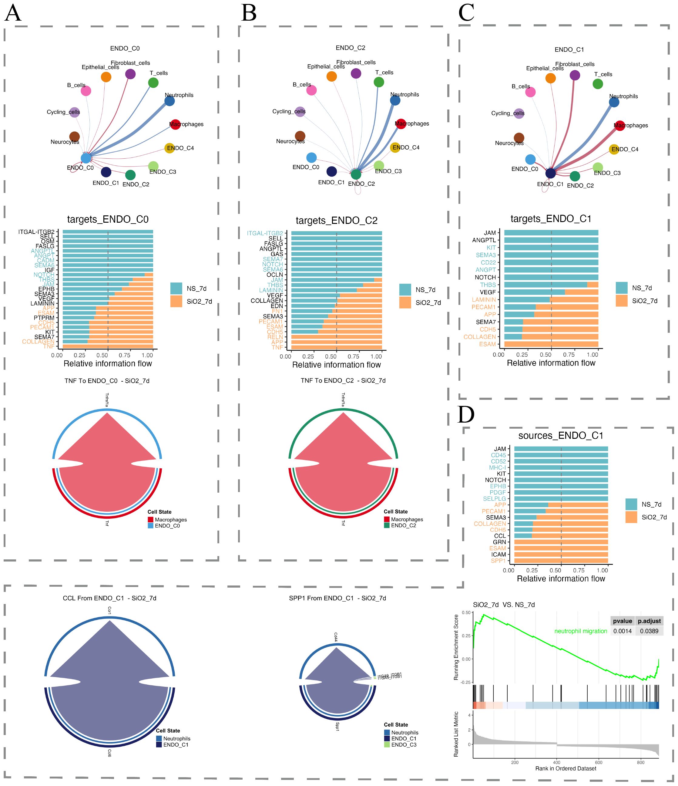 Graphs and visualizations depict gene expression and biological processes. A and B: Bubble plots show counts of genes involved in endothelial cell processes, with color indicating p-value. C: Heatmap displays gene expression levels across different conditions. D: Dot plot illustrates gene expression across cell types, with dot size and color indicating expression percentage and average levels. E: UMAP plots visualize cell clusters with expression levels of specific endothelial-related processes.