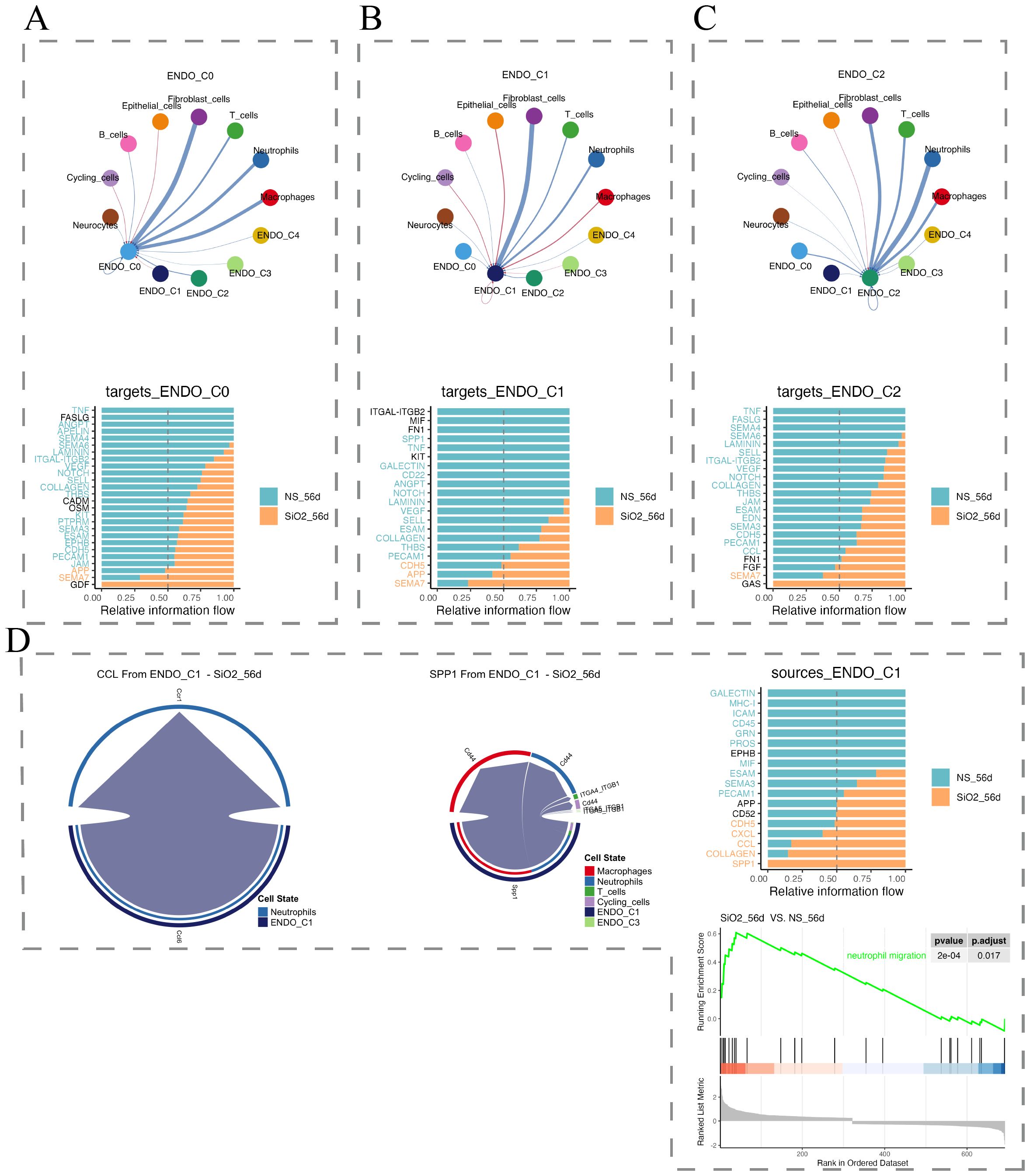 Figure A shows bar charts comparing the number of inferred interactions and interaction strength for NS_7d and SiO2_7d. Figure B depicts interaction networks for NS_7d and SiO2_7d, illustrating connections between cell types. Figure C presents bar charts for NS_56d and SiO2_56d, showing higher interactions for NS_56d. Figure D compares interaction networks for NS_56d and SiO2_56d, highlighting connections among various cells.