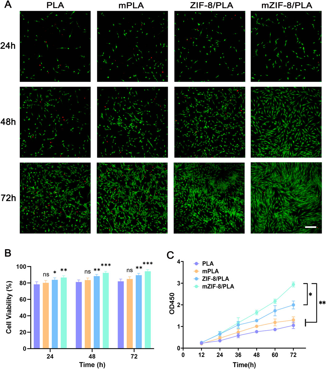 Image A shows fluorescence microscopy images of cell growth at 24, 48, and 72 hours on different substrates: PLA, mPLA, ZIF-8/PLA, and mZIF-8/PLA. Green staining indicates live cells, and red indicates dead cells. Image B is a line graph displaying OD450 values over 72 hours for each substrate type, with mZIF-8/PLA showing the highest growth. Statistically significant differences are marked by asterisks.
