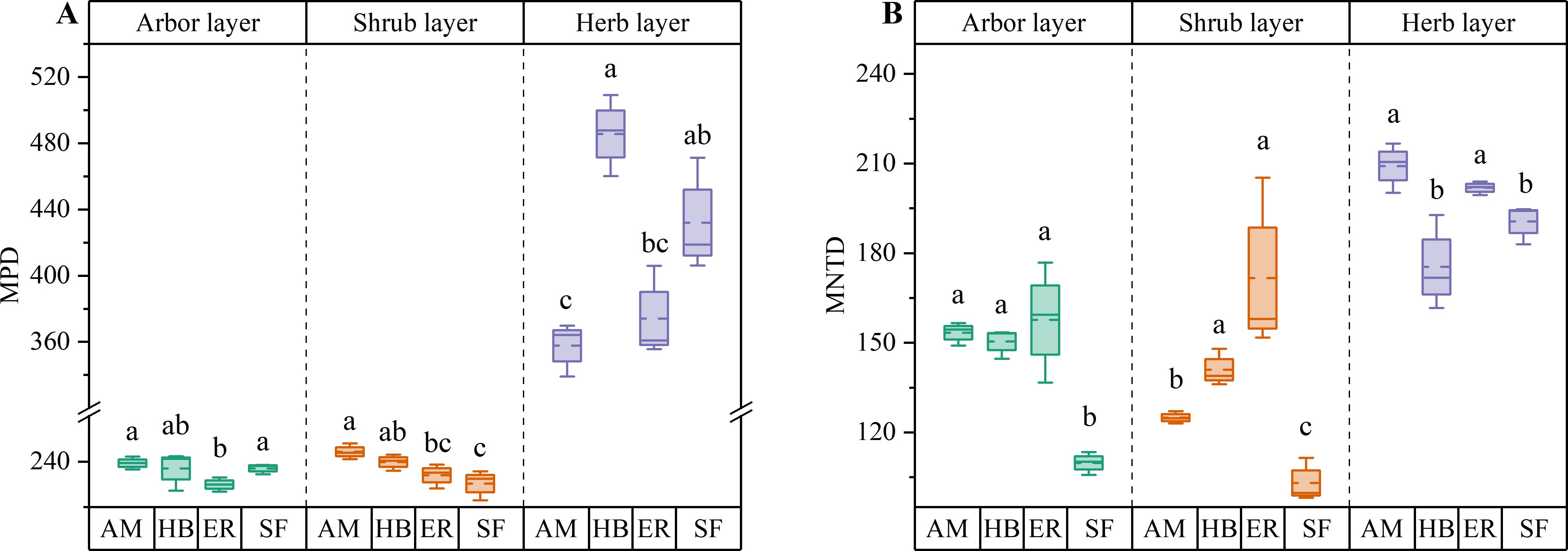 Box plots illustrating Mean Pairwise Distance (MPD) and Mean Nearest Taxon Distance (MNTD) across arbor, shrub, and herb layers. In panel A (MPD), values differ significantly across all layers, especially in the herb layer. Panel B (MNTD) shows similar variability, with marked differences within the shrub and herb layers. Different letters indicate statistical significance among the compared groups, labeled as AM, HB, ER, and SF for each layer.