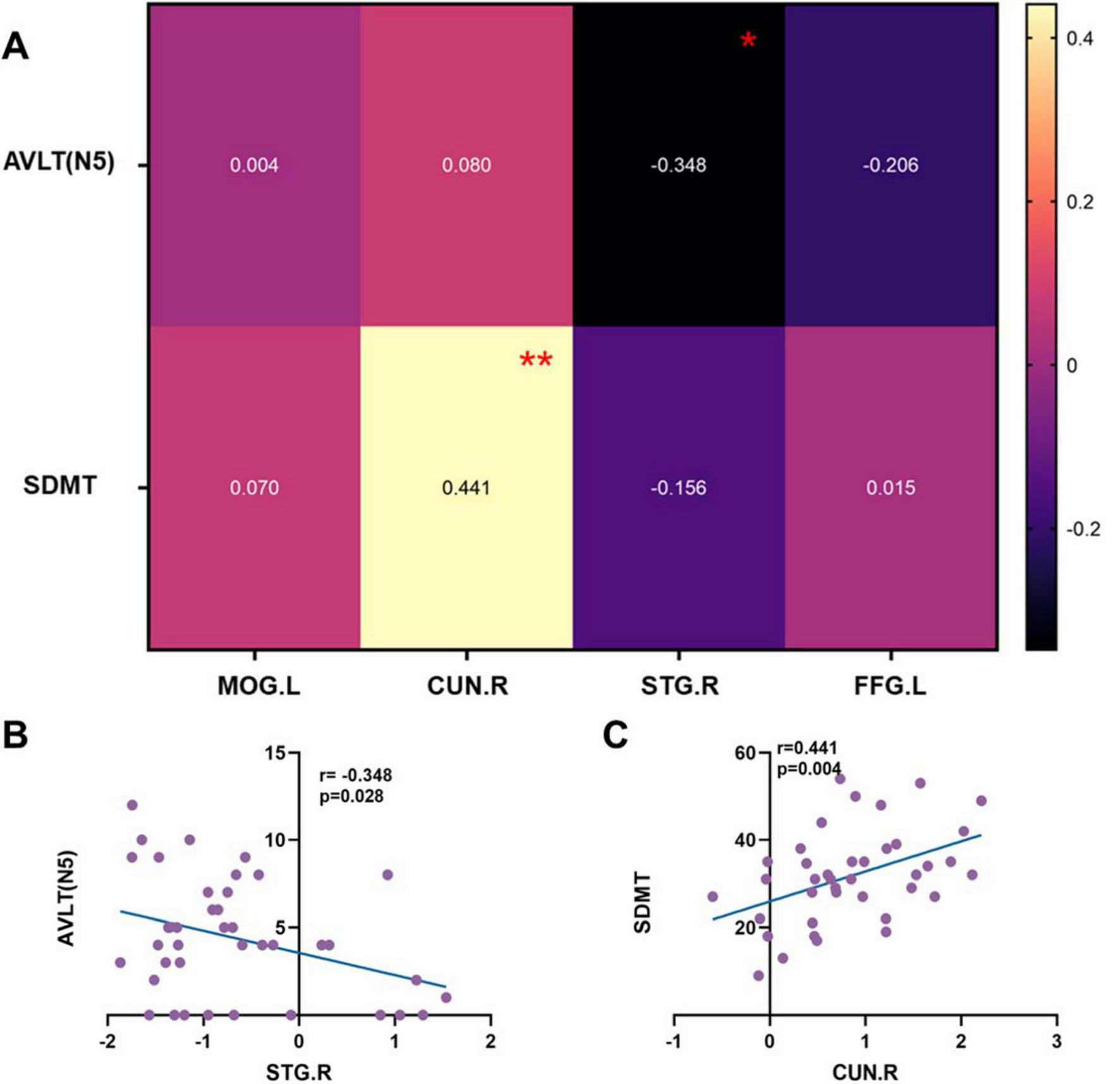 Panel A shows a heatmap indicating the correlation coefficients between various brain regions and cognitive tests, with darker colors indicating stronger negative values and lighter colors positive values. Panel B presents a scatter plot showing a negative correlation between AVLT(N5) and STG.R, with an r-value of -0.348 (p=0.028). Panel C offers a scatter plot showing a positive correlation between SDMT and CUN.R, with an r-value of 0.441 (p=0.004).