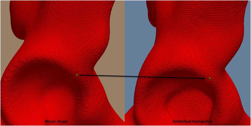 Comparison of two red textured 3D surfaces labeled as