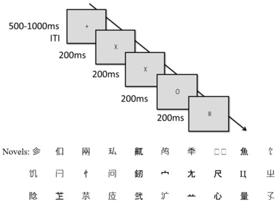 A trial begins with a plus sign, follows by one of the three types of stimuli: X, O, and novels. A trial ends with a star sign that can last 500 to 1000 ms inter trial interval.