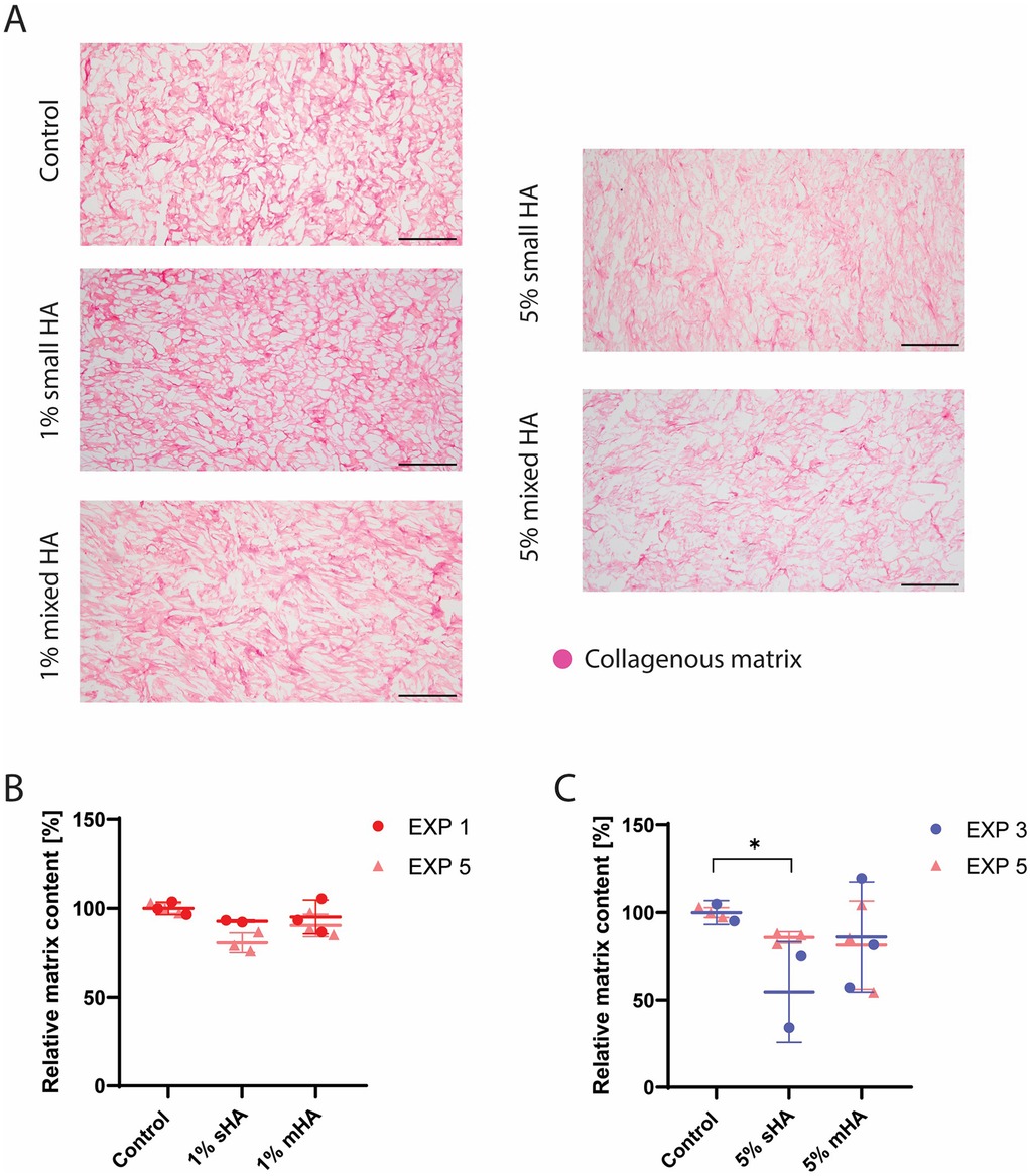 Histological evaluation and data visualization show collagen matrix density under different conditions. Images labeled control, 1% small HA, 1% mixed HA, 5% small HA, and 5% mixed HA display variations in collagen presence. Graphs below illustrate relative matrix content percentages for EXP 1, EXP 3, and EXP 5, highlighting comparisons between controls and HA treatments.