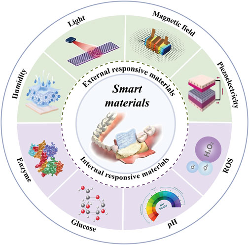 Diagram illustrating smart materials divided into two categories: external and internal responsive materials. External responsive materials include light, magnetic field, piezoelectricity, and humidity. Internal responsive materials include enzymes, glucose, pH, and reactive oxygen species (ROS). Central image shows a dental component, representing application.
