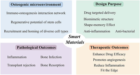 Smart Materials diagram with four sections: Osteogenic Microenvironment lists immune-osteogenesis interaction, regenerative potential, cell recruitment. Design Purpose includes drug delivery, biomimetic structure, shape-memory, anti-inflammatory, antibacterial properties. Pathological Outcomes covers inflammation, bone infection, transplant rejection, bone resorption. Therapeutic Outcomes highlight enhancing drug efficacy, promoting angiogenesis, reducing inflammation, and fitting the edge.