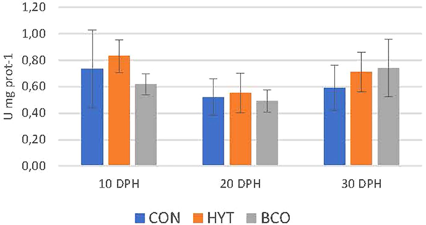 Bar chart comparing enzyme activity (U mg per protein) at 10, 20, and 30 days post-hatching (DPH) for three groups: CON (blue), HYT (orange), and BCO (gray). Each group is shown with error bars indicating variability. Activity levels appear similar across the groups and time points.