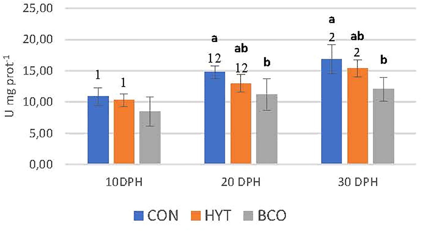 Bar chart comparing enzyme activity (U milligrams protein) at 10, 20, and 30 days post hatching (DPH) for three groups: CON (blue), HYT (orange), and BCO (gray). Bars show error margins, with significant differences labeled above some bars. CON and HYT have similar activities at 10 DPH, while activity increases at 20 and 30 DPH.