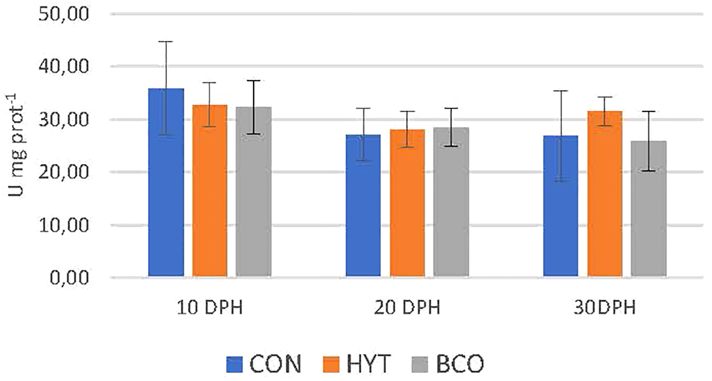 Bar chart showing enzyme activity (U milligrams protein⁻¹) across three groups: CON (blue), HYT (orange), and BCO (gray) at 10, 20, and 30 days post-hatch (DPH). The activity is highest at 10 DPH and stabilizes at 20 and 30 DPH. Error bars indicate variability.