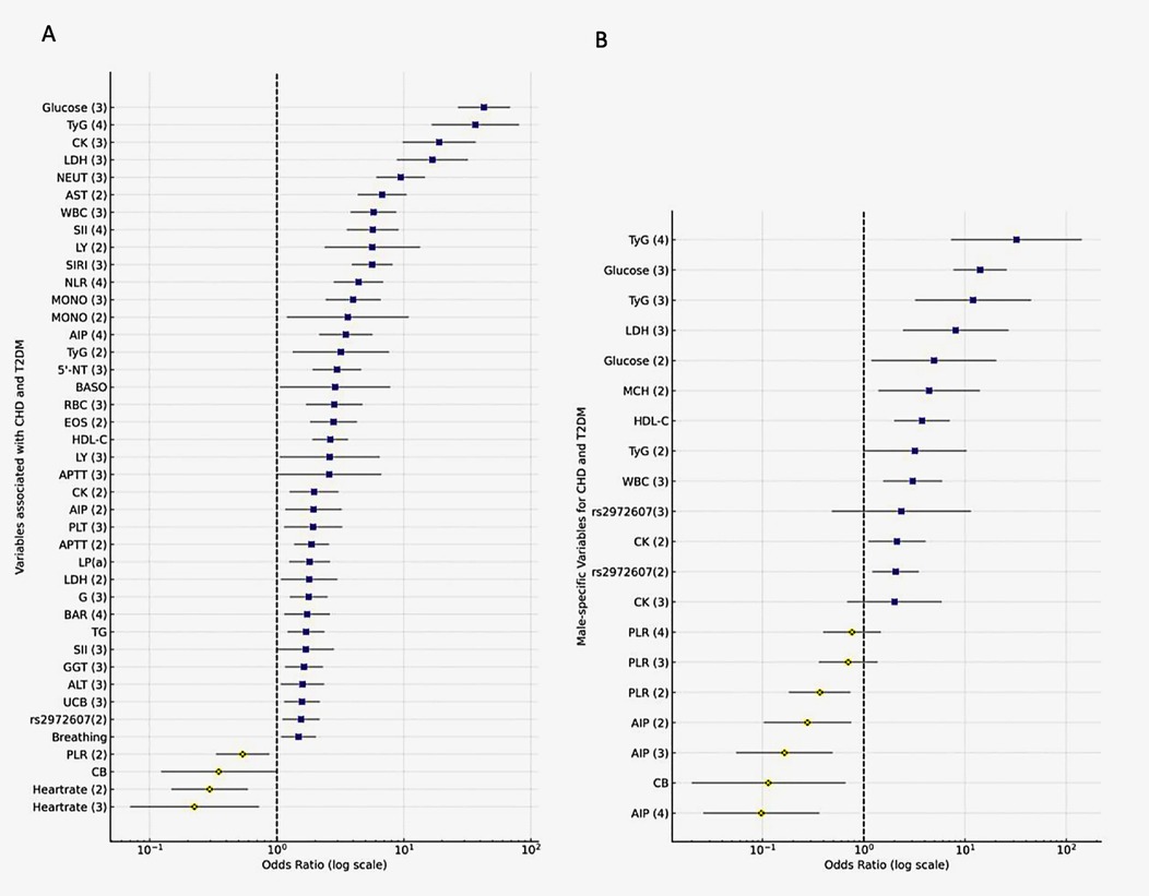 Forest plot showing odds ratios for variables associated with CHD and T2DM. The left plot displays general variables, with blue markers indicating significant associations for glucose, TyG, CK, and others. The right plot shows male-specific variables, highlighting significant associations for TyG, glucose, and MCH. Odds ratios are plotted on a logarithmic scale, with dashed vertical lines at 1. Yellow markers denote less significant associations.