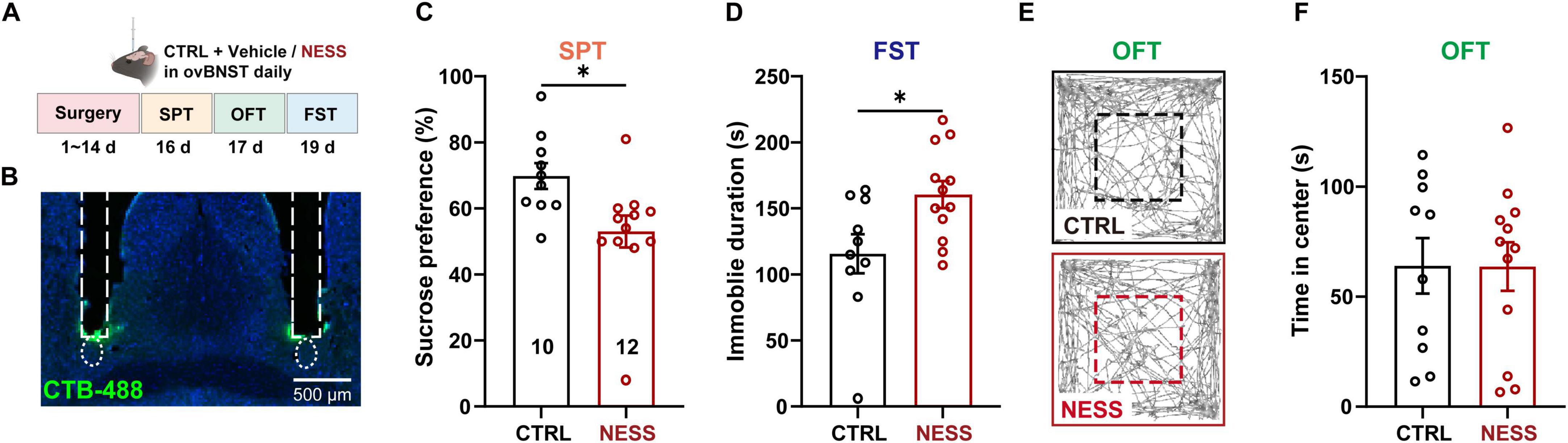 Naïve mice received intra-ovBNST perfusion of the CB1R antagonist NESS0327 followed by behavioral testing. NESS0327 decreased sucrose preference and increased immobility in the FST, suggesting that CB1R blockade within the ovBNST induces depressive-like behaviors.