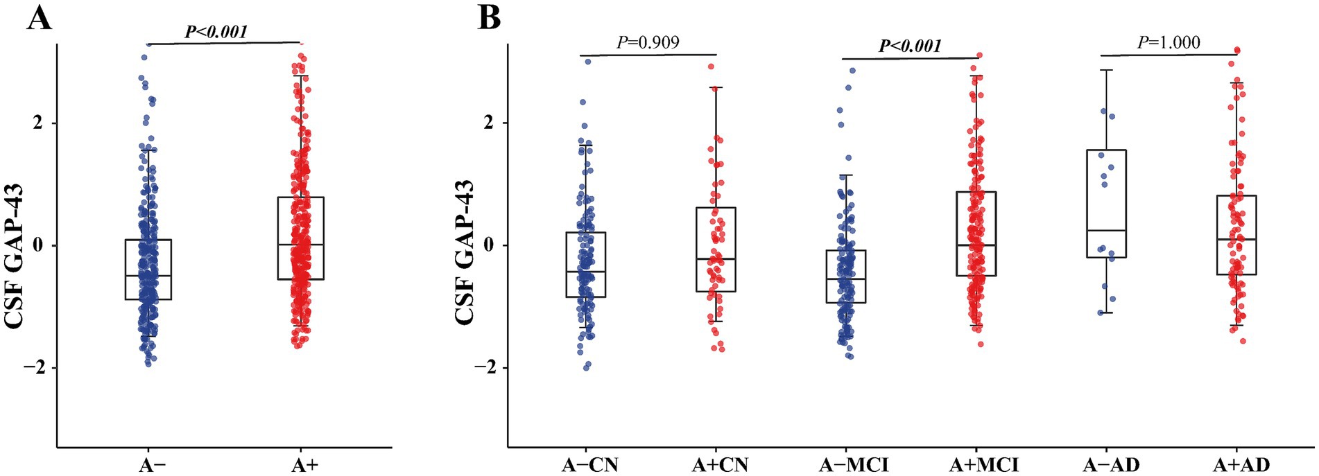 Box plots depicting CSF GAP-43 levels in two panels. Panel A shows higher levels in A+ compared to A− with P<0.001. Panel B compares four groups: A−CN, A+CN, A−MCI, and A+AD, with significant differences in A+AD versus others, P values noted above. Graphs use red and blue dots for different groups.
