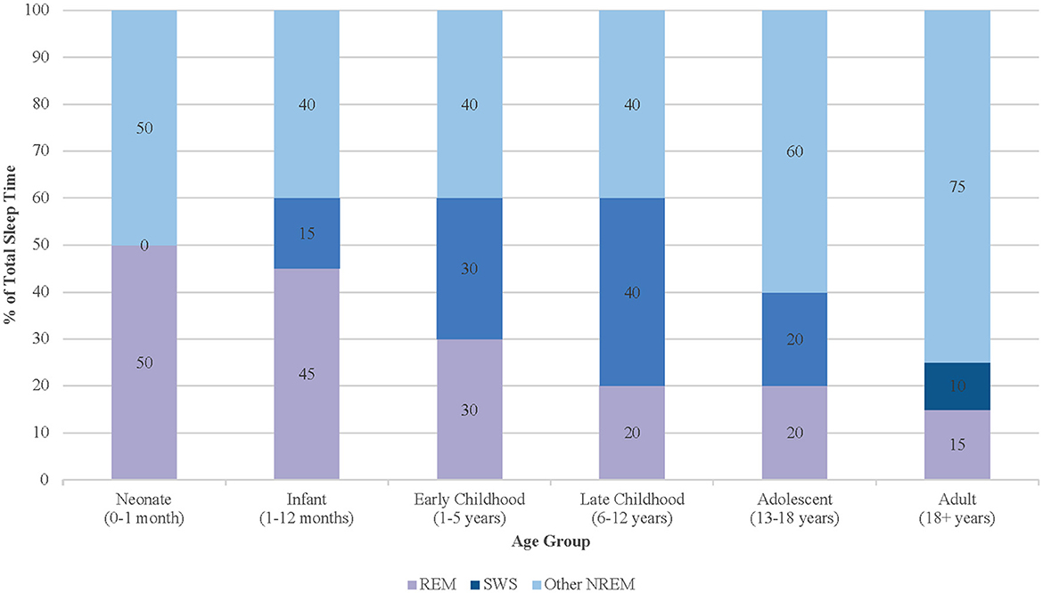 Bar chart showing the percentage of total sleep time divided into REM, slow-wave sleep (SWS), and other NREM stages across different age groups: Neonate, Infant, Early Childhood, Late Childhood, Adolescent, and Adult. Neonates have equal REM and NREM, while adults show a higher percentage of other NREM sleep. The chart illustrates a decrease in REM and an increase in other NREM sleep with age.