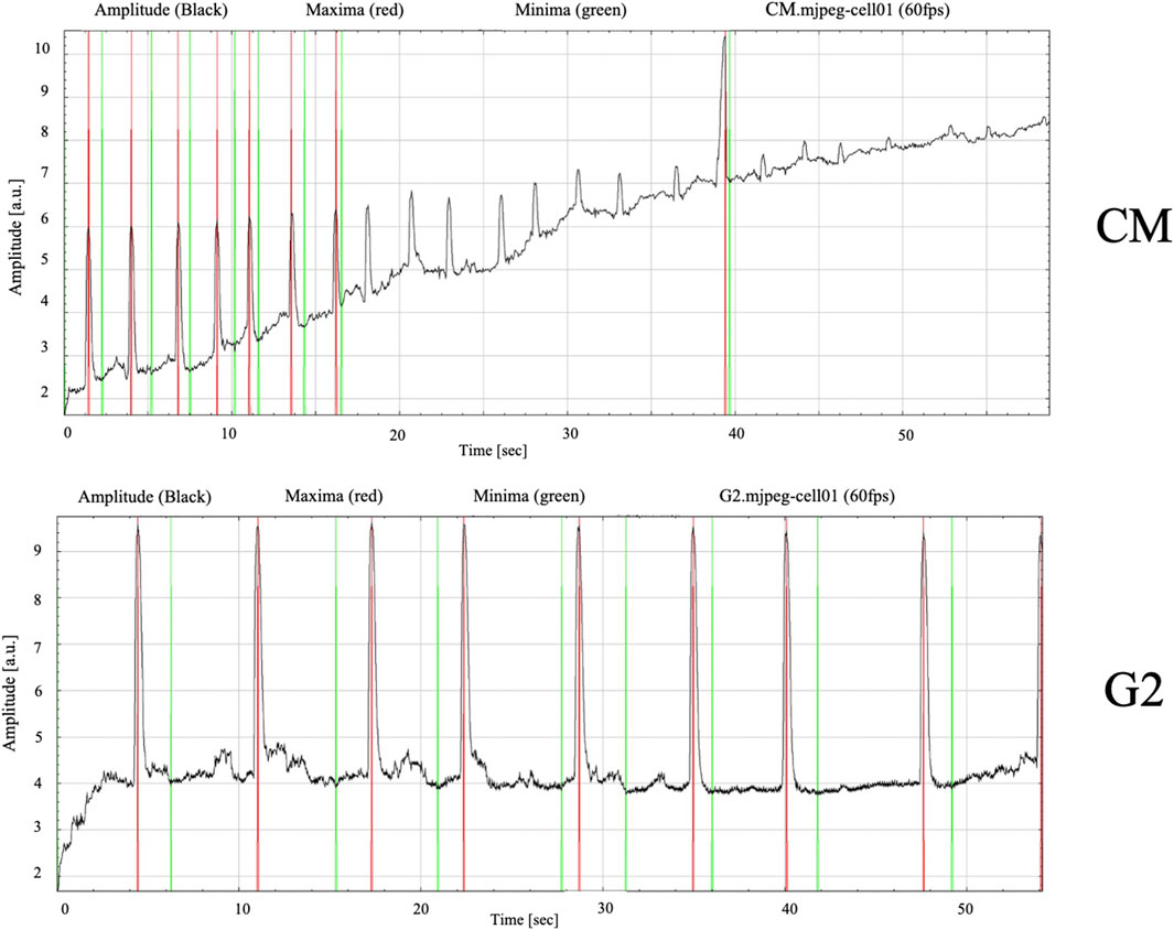 Two line graphs showing amplitude over time in arbitrary units for two datasets labeled CM and G2. The CM graph exhibits increasing amplitude with time while the G2 graph shows consistent periodic peaks. Maxima are marked in red and minima in green for both graphs. Each graph spans zero to approximately fifty-five seconds.