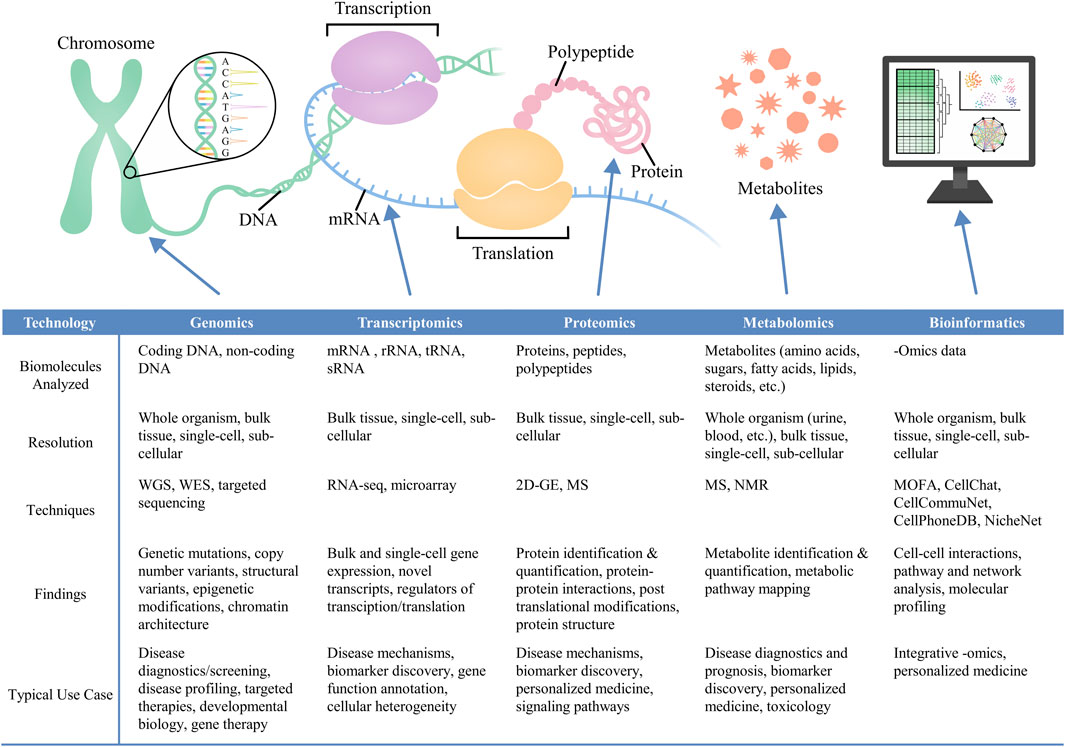 Illustration that summarizes different -omics and bioinformatics technologies. Features images of a chromosome, DNA, mRNA, transcriptional and translational processes, metabolites, and a computer screen. A table below lists different technology categories: genomics, transcriptomics, proteomics, metabolomics, and bioinformatics. Each category includes information regarding the types of biomolecules that are analyzed, the resolution of the technology, analytical techniques, representative findings, and typical applications.