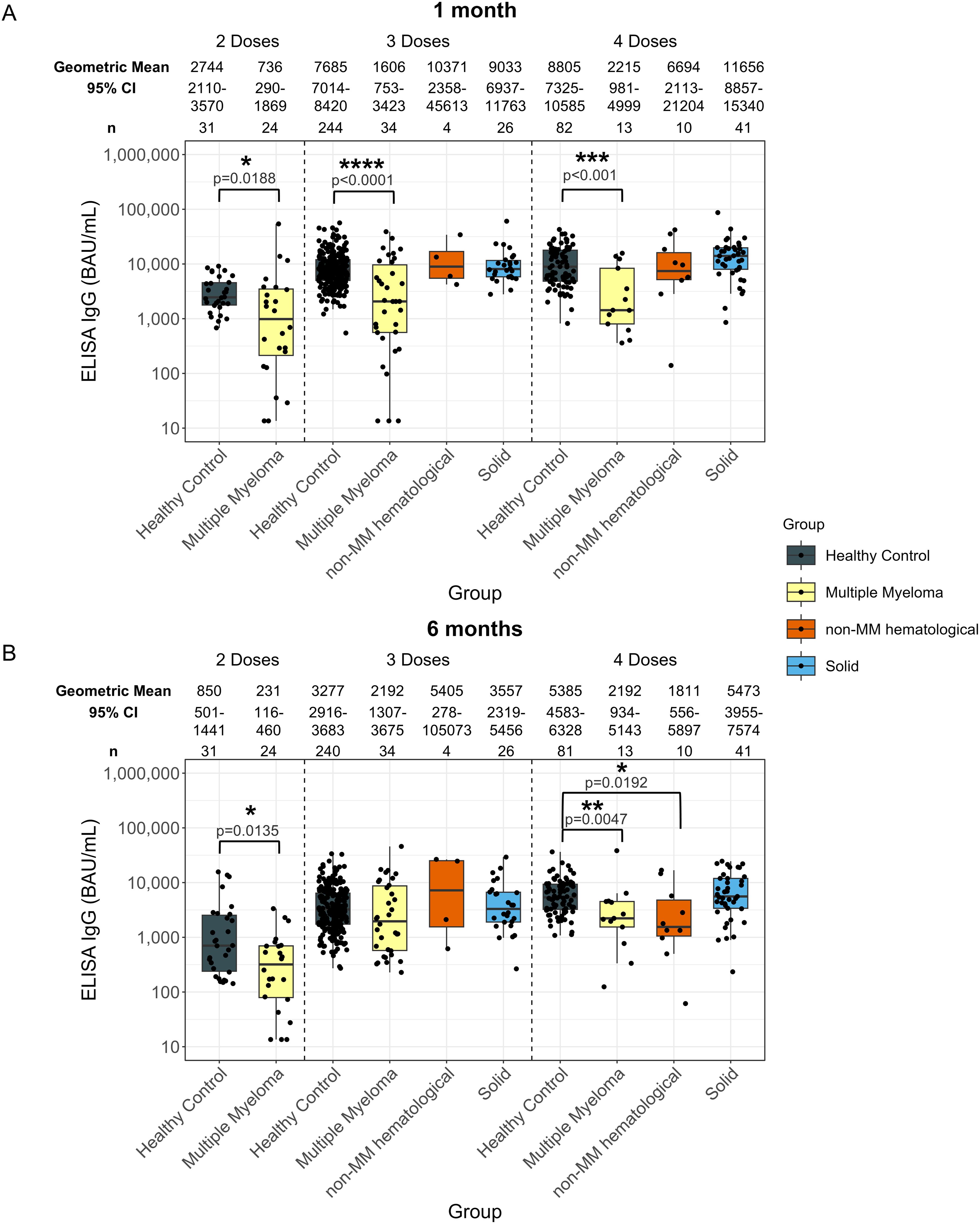 Box plots display ELISA IgG levels across different groups and dosages at one and six months. Groups include healthy control, multiple myeloma, non-MM hematological, and solid malignancies. Geometric means, confidence intervals, and p-values are indicated for each group.