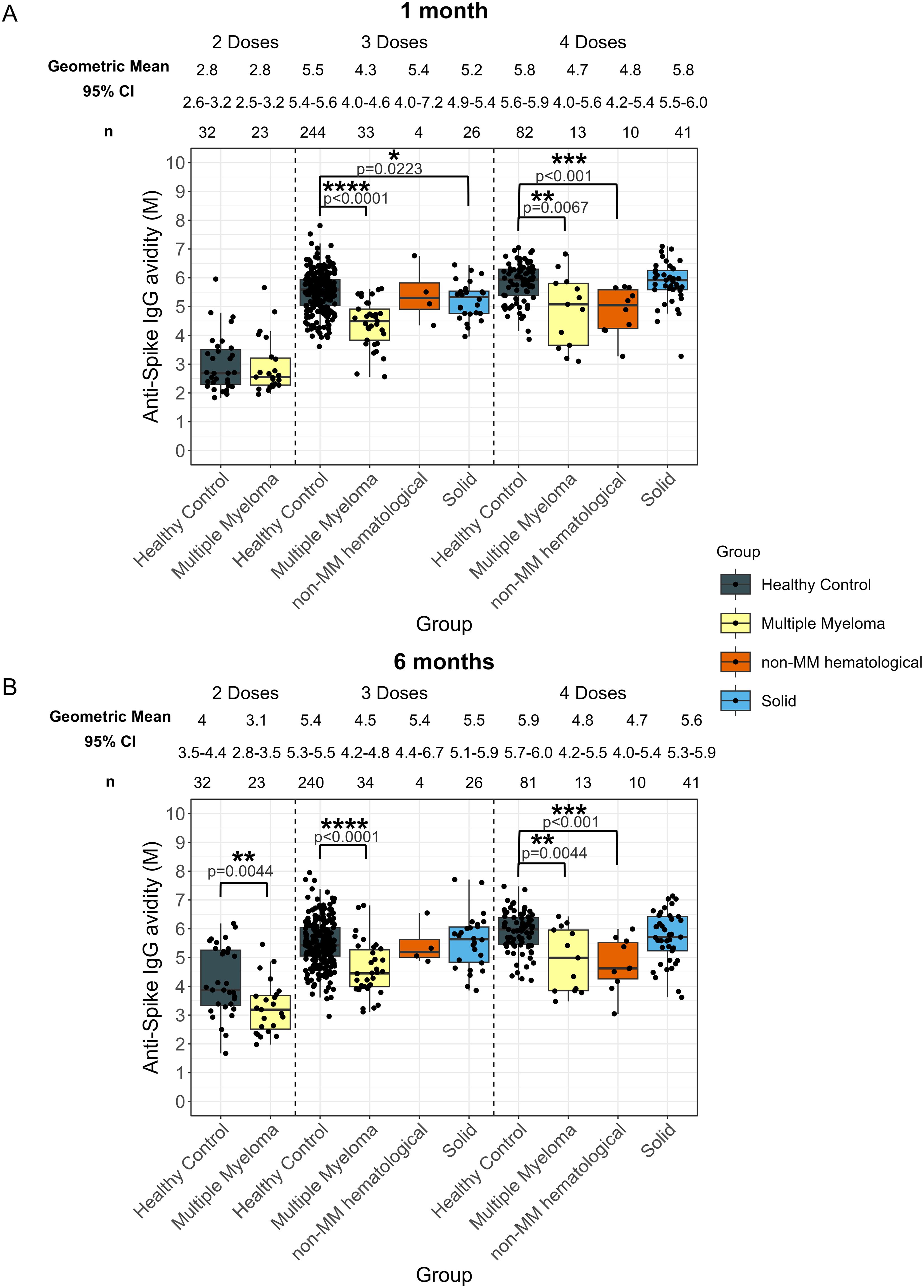 Box plots showing anti-Spike IgG avidity for various groups over time. Panel A represents 1 month, and Panel B represents 6 months post-vaccination. Groups include Healthy Control, Multiple Myeloma, Non-MM Hematological, and Solid, with differences across two, three, and four doses. The geometric mean and confidence intervals are provided. Statistical significance is indicated with p-values and asterisks.