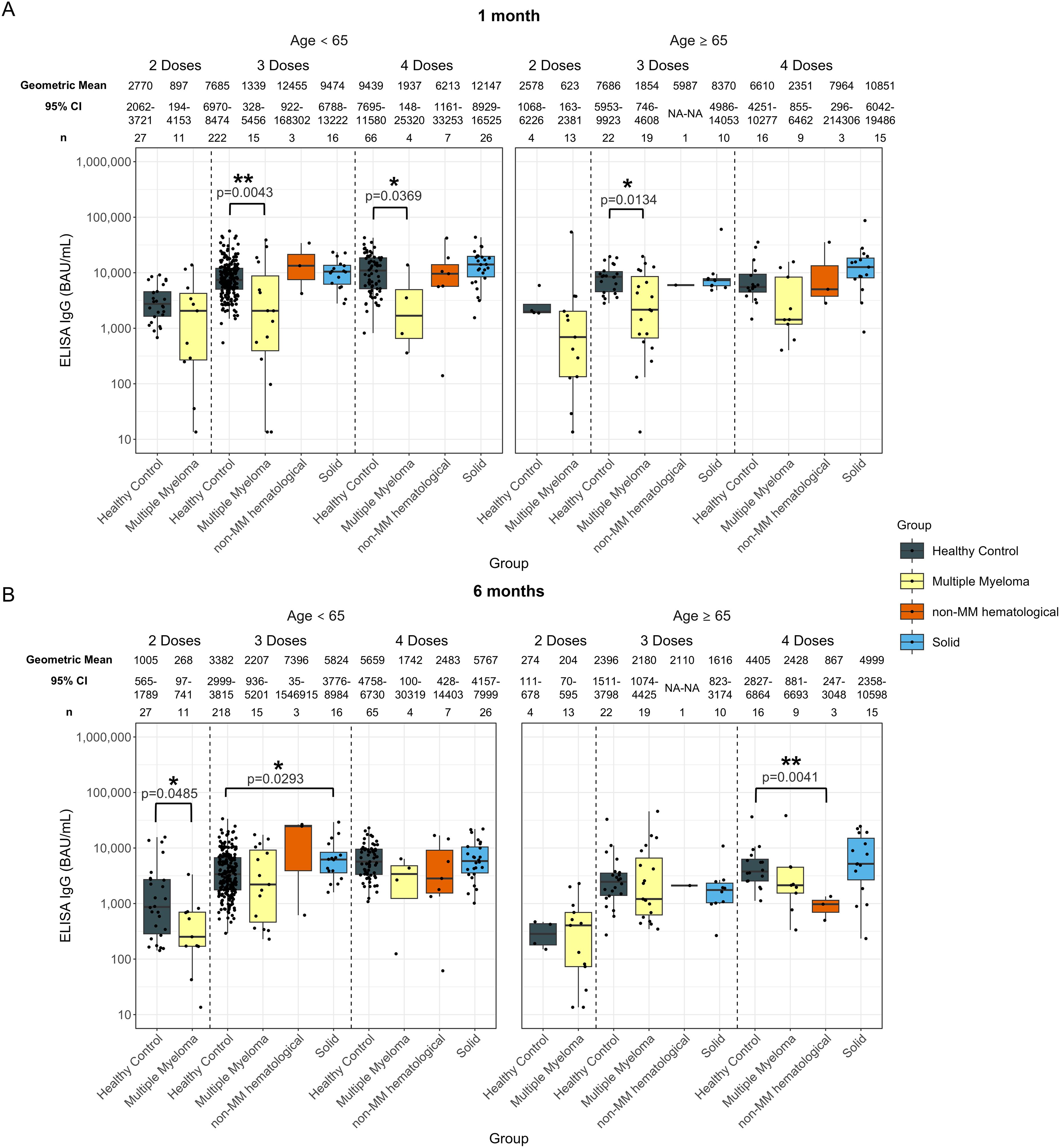 Box plot charts show ELISA IgG levels in different groups at one and six months. Groups include healthy controls, multiple myeloma, non-multiple myeloma hematological, and solid conditions. Categories are further divided by age (< 65 and ≥ 65) and doses (2 to 4 doses). Geometric means, confidence intervals, and sample sizes are noted. Significant differences are marked with p-values.