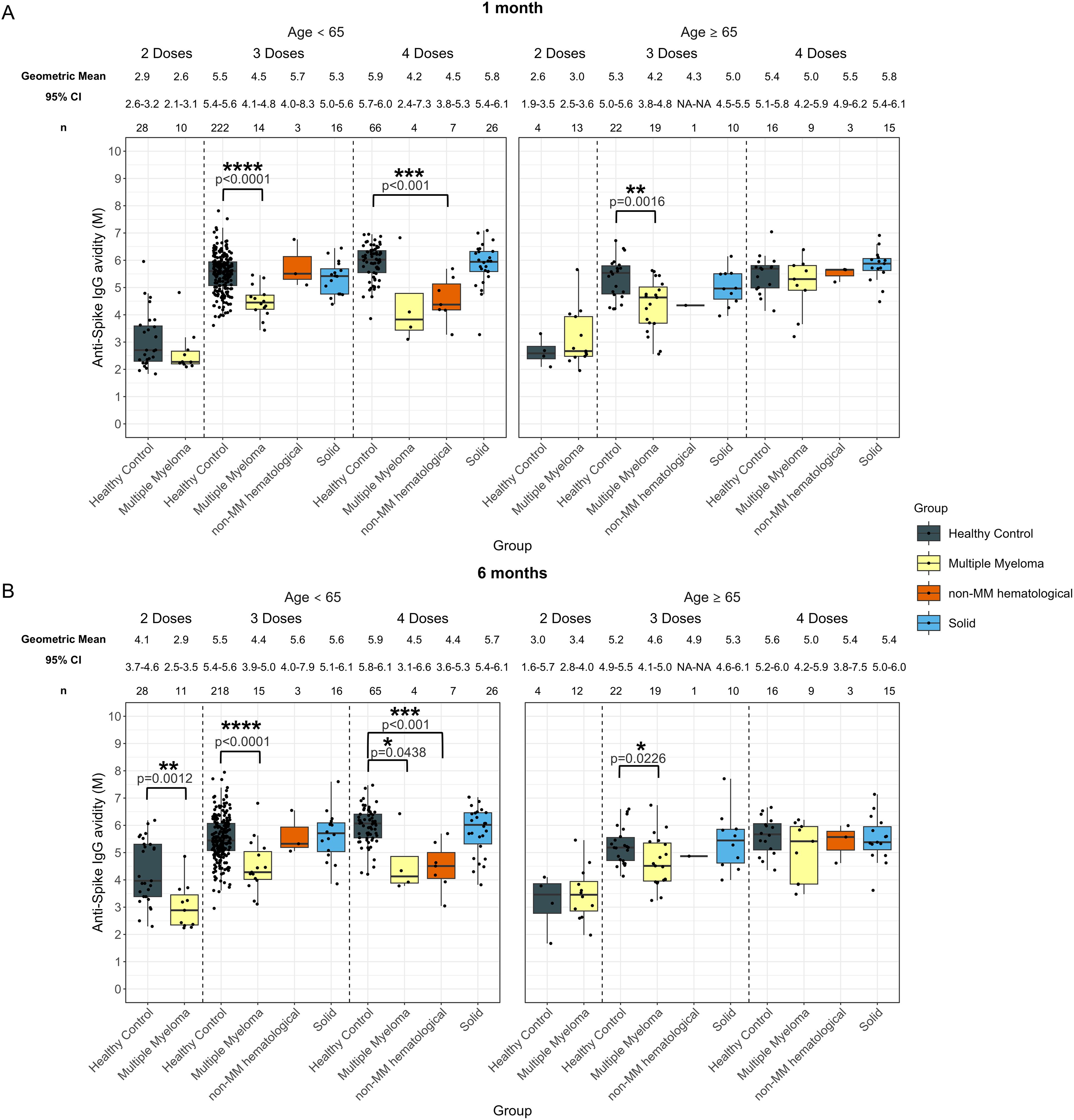 Box plots showing anti-spike IgG avidity by group and dose for two age categories (<65 and ≥65) at 1 month (panel A) and 6 months (panel B). Groups include Healthy Control, Multiple Myeloma, non-MM hematological, and Solid. Significant differences are marked with p-values in the graphs.
