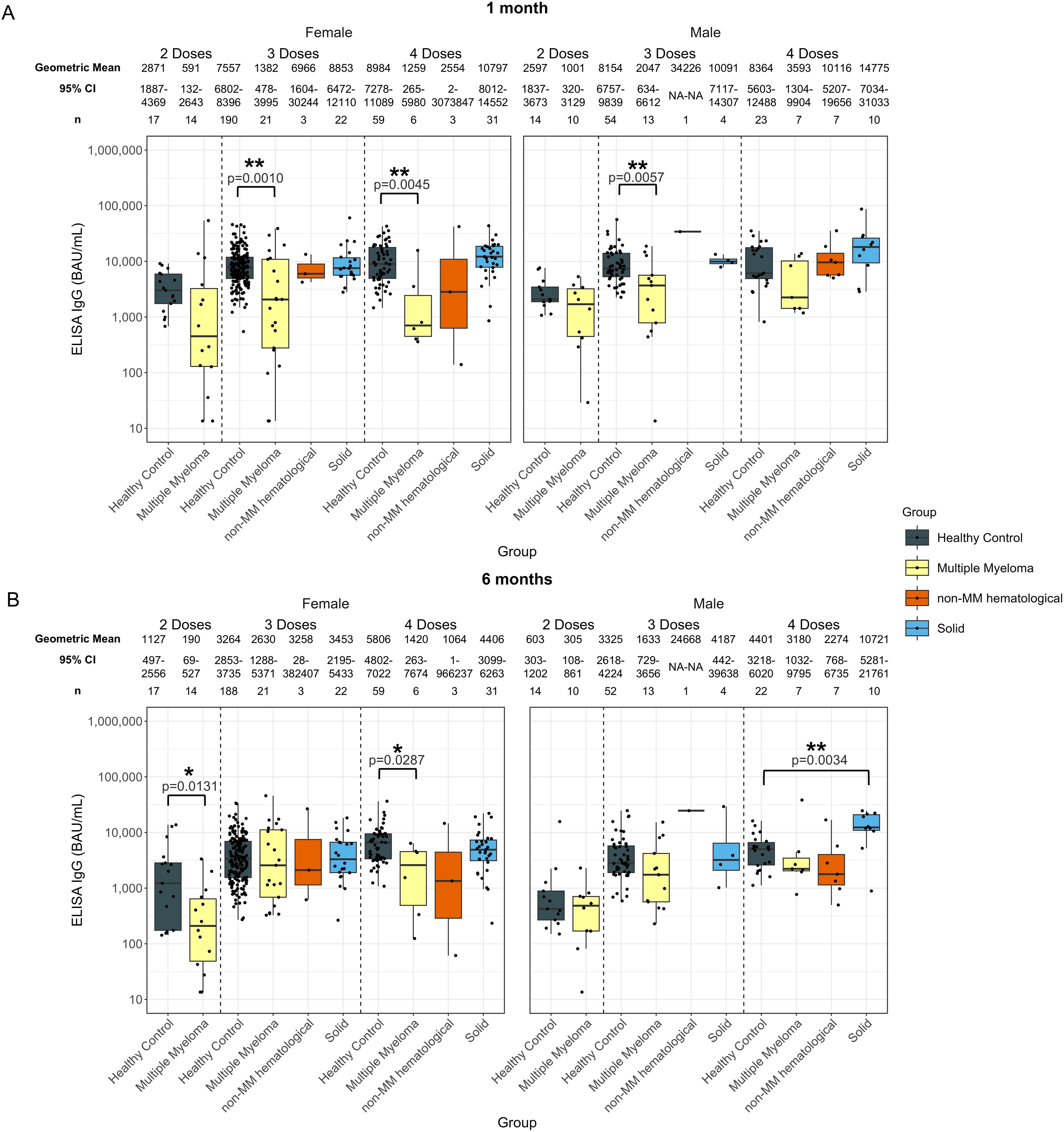 Box plots compare ELISA IgG levels (BAU/mL) across different groups: Healthy Control, Multiple Myeloma, non-MM hematological, and Solid. Data is shown for both females and males, with different doses (2, 3, 4) at 1 month (top) and 6 months (bottom). Statistical significance is highlighted with p-values and asterisks.