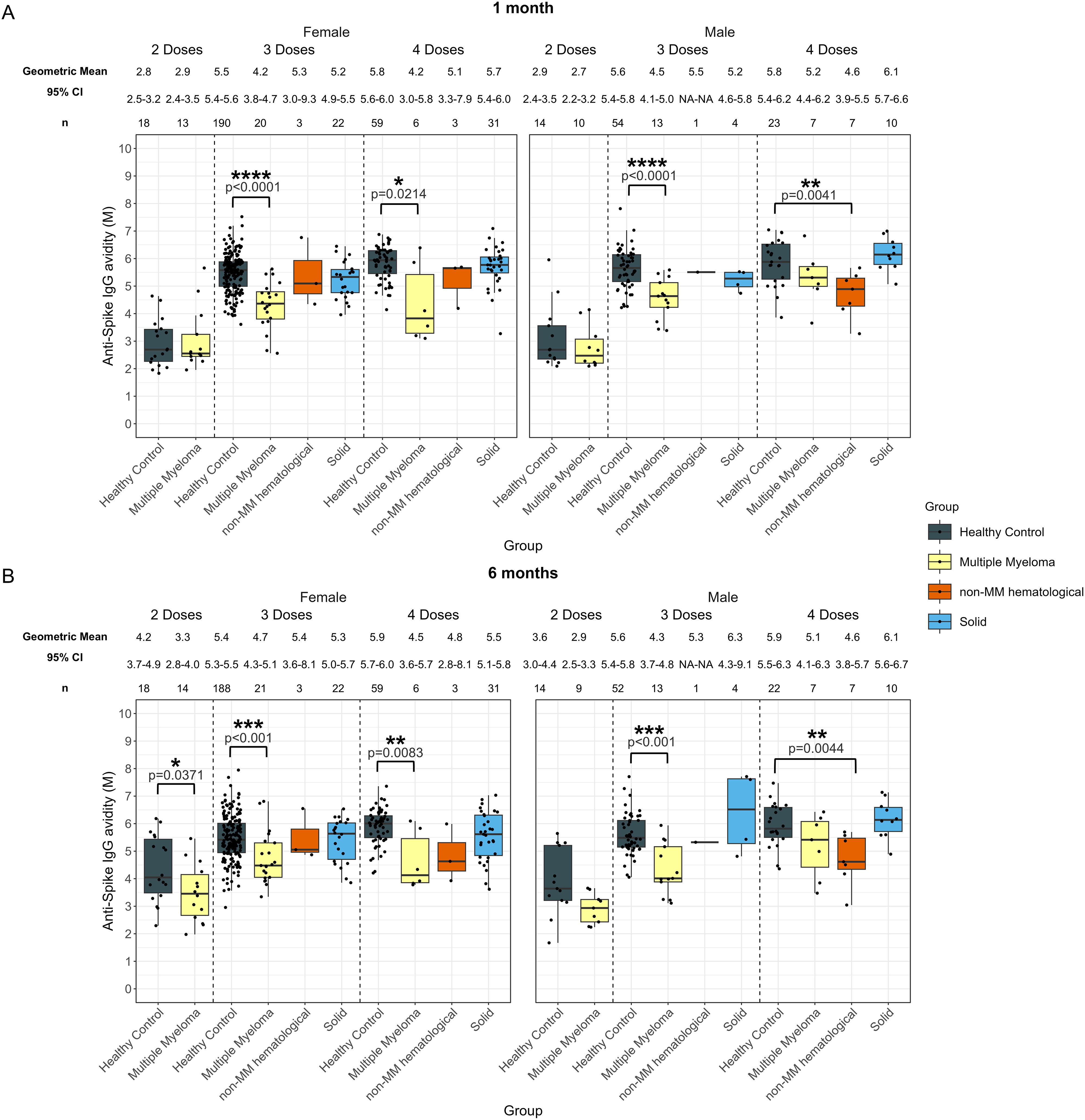 Box plots comparing Anti-Spike IgG antibody activity across different groups and vaccination doses at one and six months. Groups include Healthy Control, Multiple Myeloma, non-MM hematological, and Solid, separated by gender and number of doses. Geometric means, 95% confidence intervals, and significant p-values are highlighted. Panel A shows data at one month, Panel B at six months, with distinct differences in antibody activity levels.