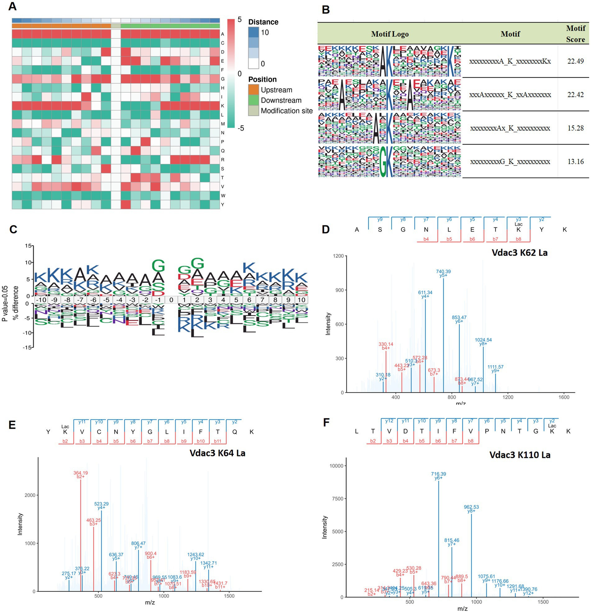Panel A shows a heatmap representing distance data with a color scale from red to blue. Panel B presents motif logos and scores in a table format. Panel C displays a sequence logo with p-value information. Panel D, E, and F show mass spectrometry spectra labeled “Vdac3 K62 La,” “Vdac3 K64 La,” and “Vdac3 K110 La,” along with sequence annotations and peak intensities.