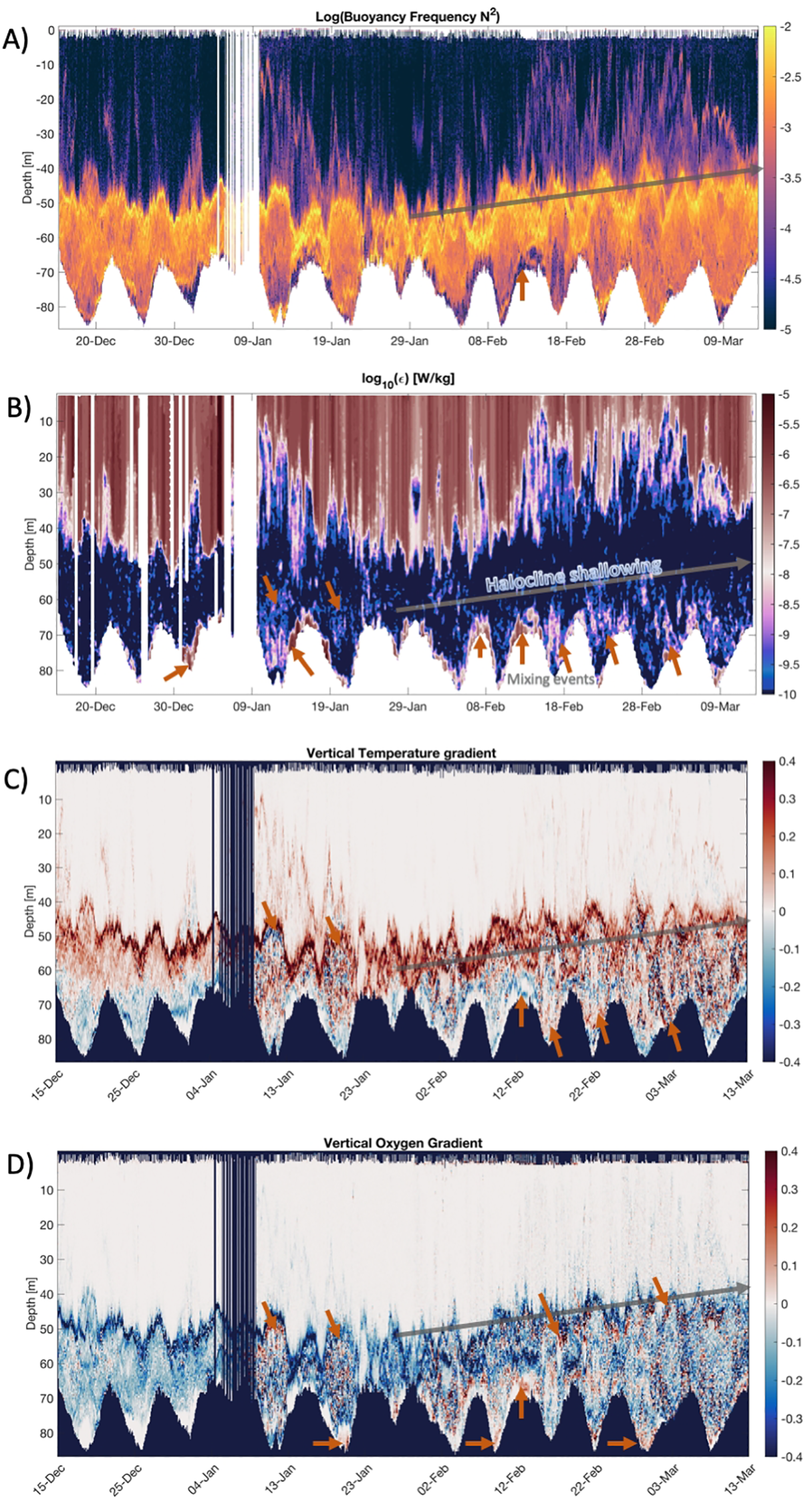 Four panels showing oceanographic data over time. Panel A displays log buoyancy frequency against depth, with a color gradient from yellow to purple. Panel B shows turbulent kinetic energy with a similar format. Panel C presents vertical temperature gradients, while Panel D depicts vertical oxygen gradients. Each panel indicates changes over time from December to March, with annotations highlighting key features such as mixing events and layer depth changes.