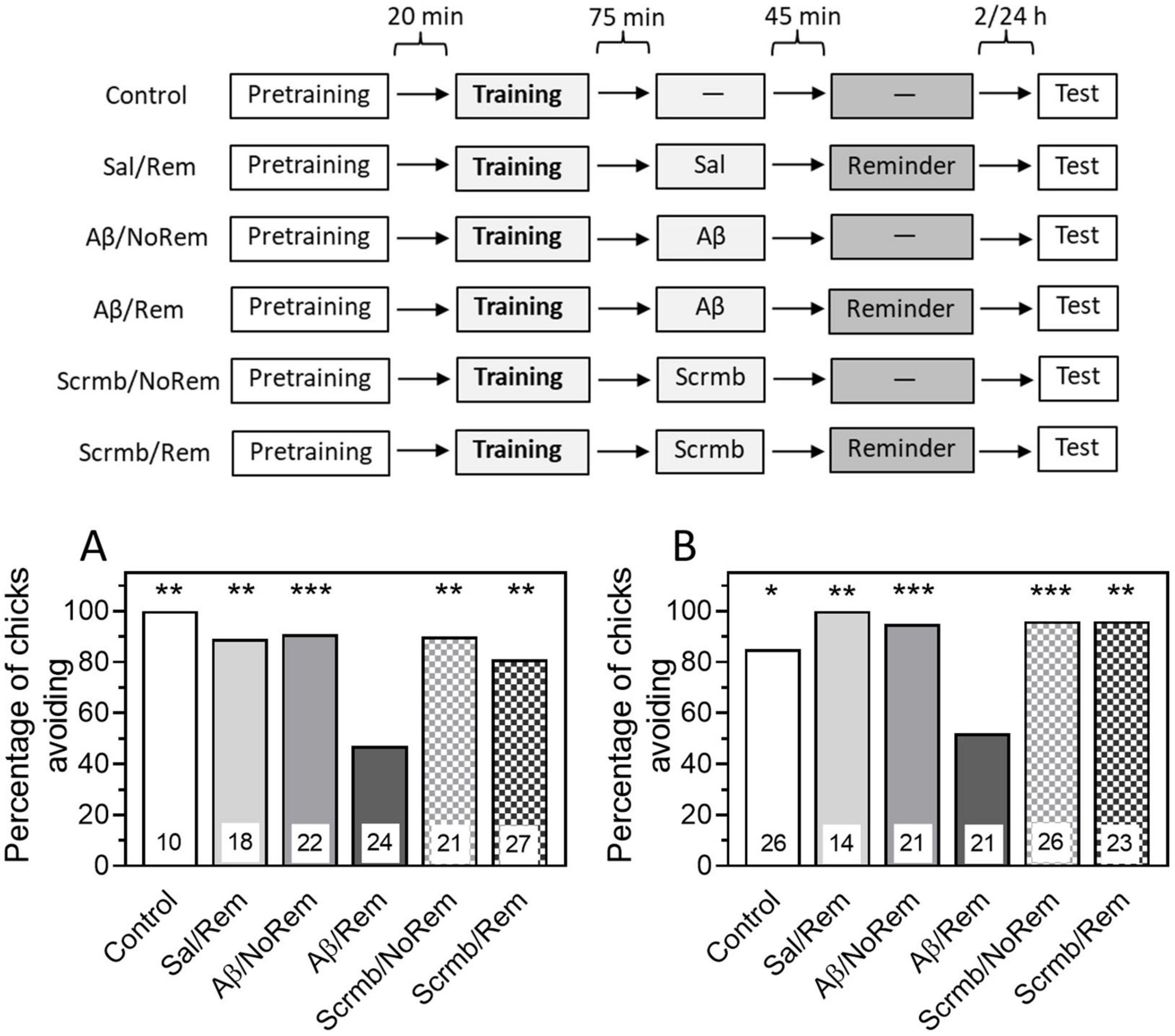 Flowchart and bar graphs depicting a chick aversion study. The top flowchart shows six experimental conditions involving pretraining, training, and testing phases with interventions such as Sal, Ab, and Scrmb, with or without reminders. Bar graphs A and B illustrate the percentage of chicks avoiding a stimulus across these conditions, with different significance levels indicated by asterisks. Each bar graph includes sample sizes at the bottom.