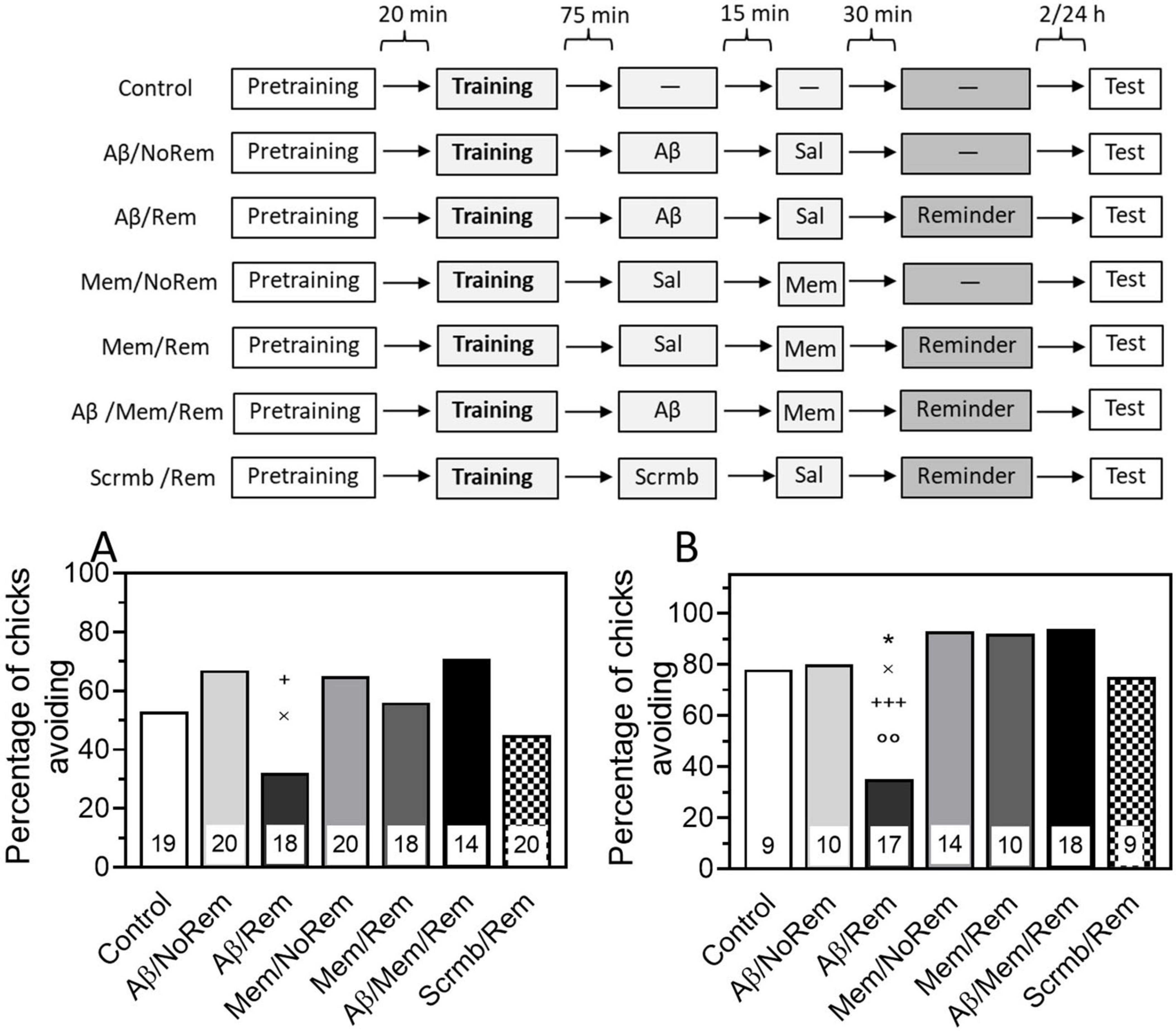 Flowchart and bar graphs showing experimental procedures and results for chick avoidance behavior. Different groups undergo pretraining, training, and test phases with varying intervals and treatments like Ab, Mem, and Sal. Bar Graph A and B display the percentage of chicks avoiding certain stimuli across these groups, with sample sizes indicated at the bottom.