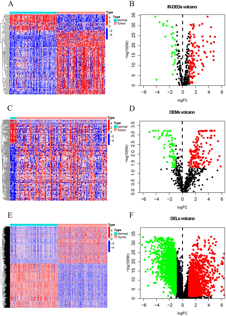 Heatmaps and volcano plots showing gene expression data. Panels A, C, and E display heatmaps comparing normal and tumor types with a color scale from blue to red. Panels B, D, and F are volcano plots for IR-DEGs, DEMs, and DELs, respectively, with data points in red, green, and black based on significance and log fold change.