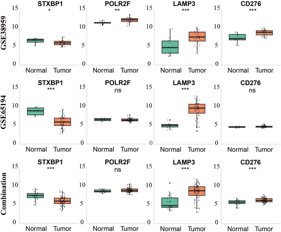 Box plots display the expression levels of STXBP1, POLR2F, LAMP3, and CD276 in normal versus tumor samples across three datasets (GSE38959, GSE65194, Combination). Significant differences are marked by asterisks for STXBP1 and LAMP3 in three datasets, and for CD276 in GSE38959 and