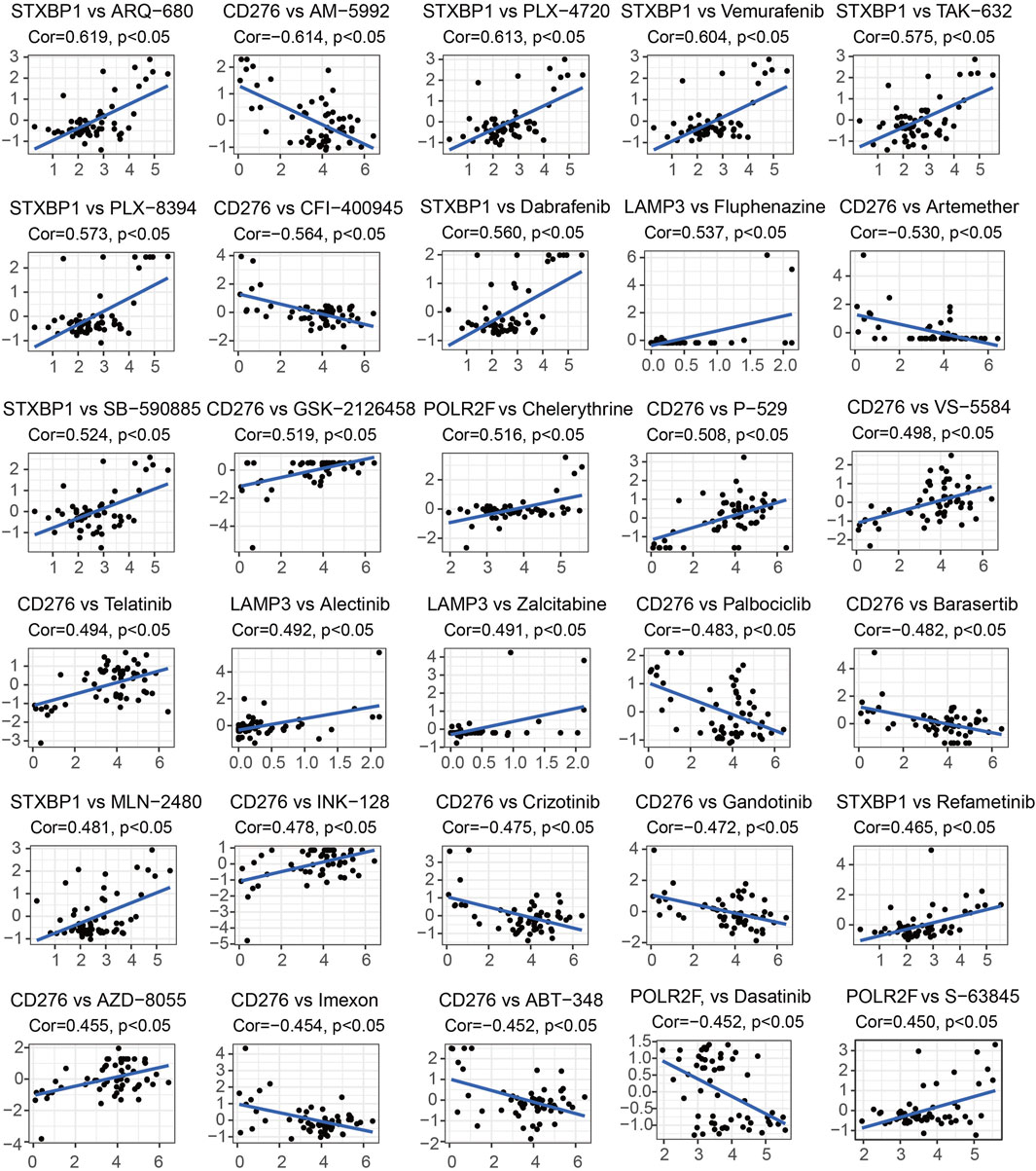 Scatter plots show correlations between the expressions of STXBP1, POLR2F, LAMP3, or CD276, with sensitivity to different drugs from the CellMiner database. In each plot, the Y-axis represents the Z-scores of drug activity, and the X-axis represents the expression level of each corresponding gene. Each plot includes a Spearman correlation coefficient and its corresponding p-value, indicating the strength and significance of the relationships. Lines of best fit are shown on each graph, with the plots ranked by their correlation coefficients.