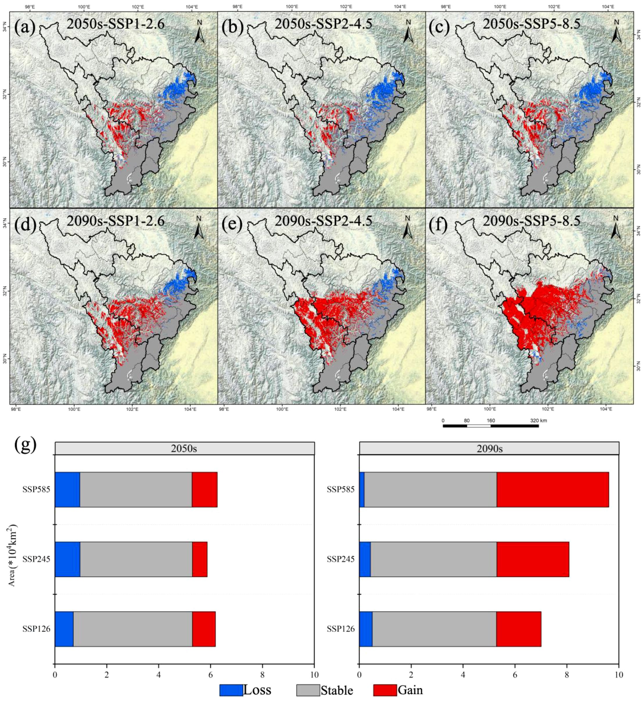 Maps (a) to (f) show the projected changes in a region for 2050s and 2090s under scenarios SSP1-2.6, SSP2-4.5, and SSP5-8.5. Changes are highlighted in blue and red, indicating loss and gain. Map backgrounds include geographical contours. Chart (g) below quantifies these changes, with blue for loss, gray for stable, and red for gain across scenarios and decades.