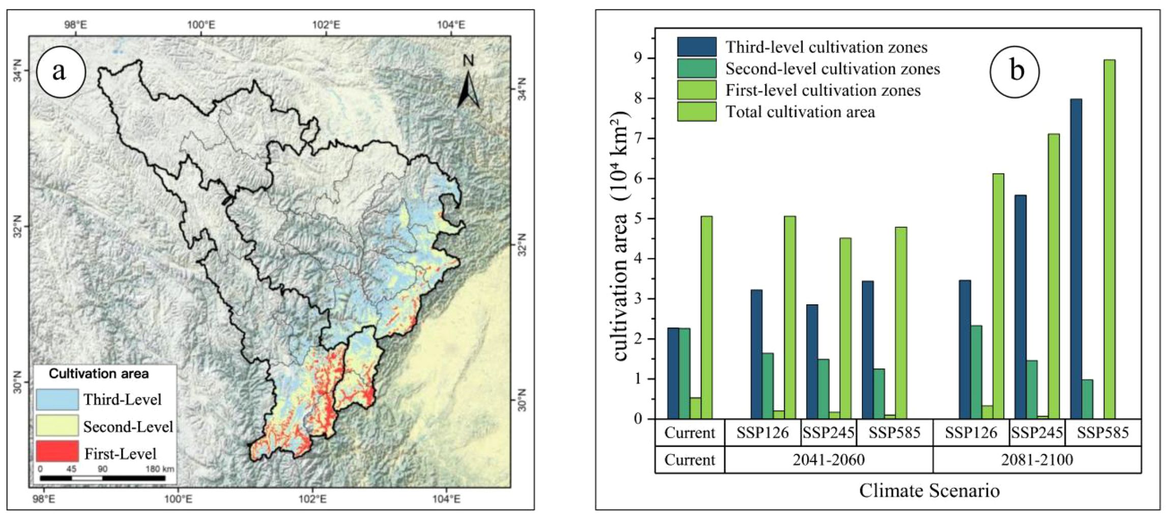 Map and bar chart depicting cultivation areas. Panel (a) shows a regional map with first-, second-, and third-level cultivation zones marked in red, yellow, and blue, respectively. Panel (b) presents a bar chart comparing cultivation areas across climate scenarios from 2041 to 2100, labeled SSP126, SSP245, and SSP585. Colors correspond to cultivation zone levels as in the map. Total area is represented by combined sections.
