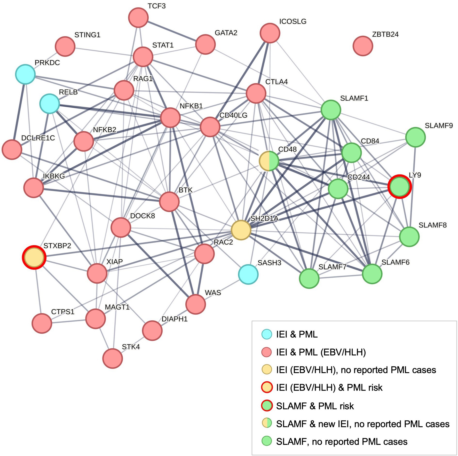 Network diagram depicting protein interactions related to diseases, with nodes in various colors representing different conditions. Red, blue, yellow, and green nodes indicate specific disease associations. Key proteins include STXBP2 and LY9, highlighted with red outlines, indicating increased risk. A legend explains the color coding and their disease associations, including IEI, PML, EBV, and HLH. Lines connect the nodes, illustrating interaction pathways.