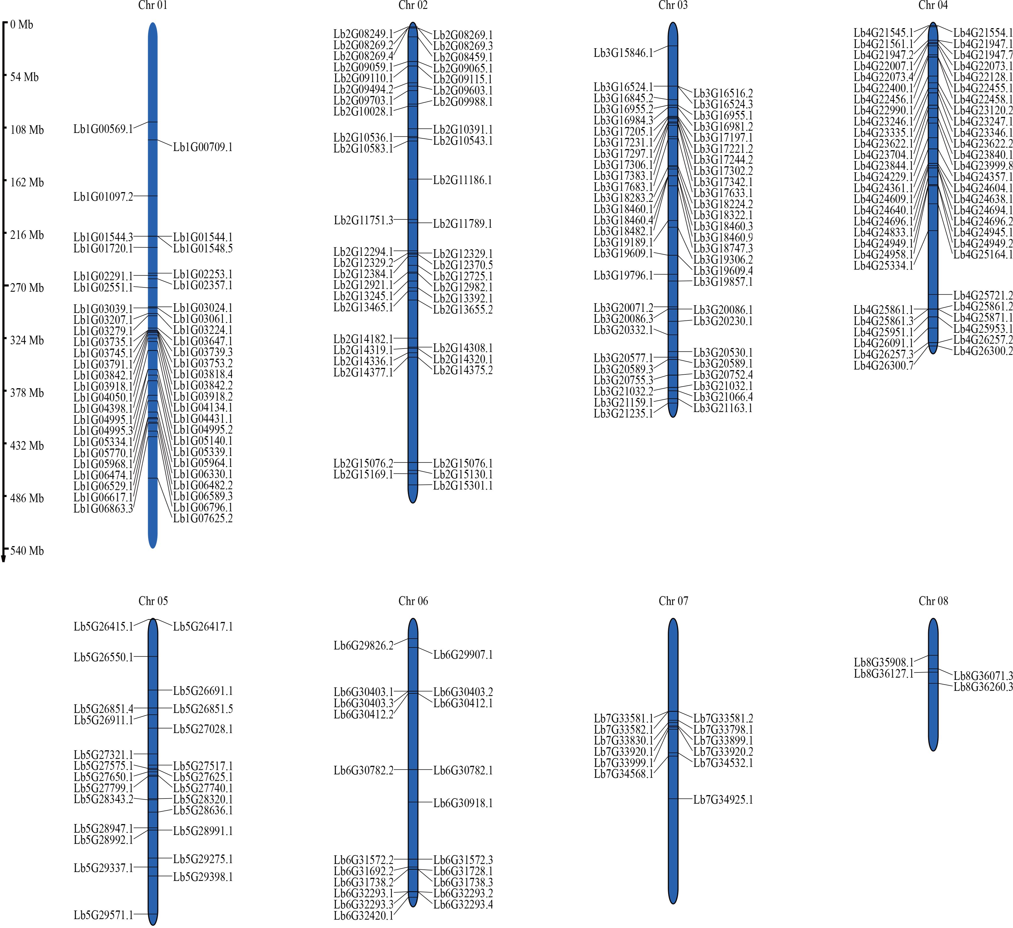 Diagram displaying eight chromosomes (Chr 01 to Chr 08) with gene positions labeled on each. Each chromosome is represented as a vertical bar with gene identifiers listed along the sides. Chromosomes vary in size, with genes distributed at different locations on each bar. The image illustrates the genetic layout across these chromosomes.