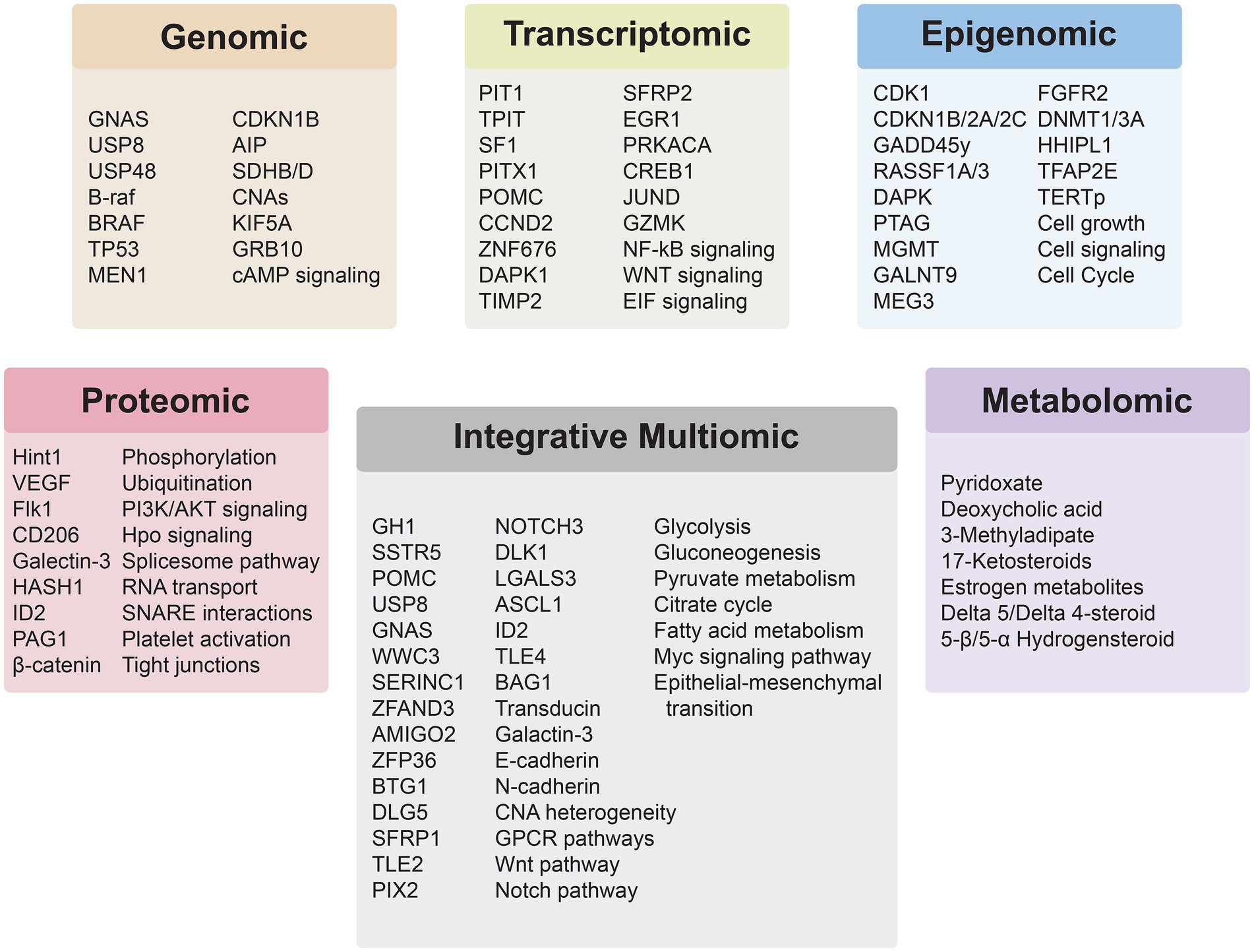 Diagram categorizing various biological components and pathways into six groups: Genomic, Transcriptomic, Epigenomic, Proteomic, Integrative Multiomic, and Metabolomic. Each category lists specific genes, proteins, pathways, or metabolites, such as CDKN1B in Genomic and Glycolysis in Integrative Multiomic. Each group is color-coded for distinction.