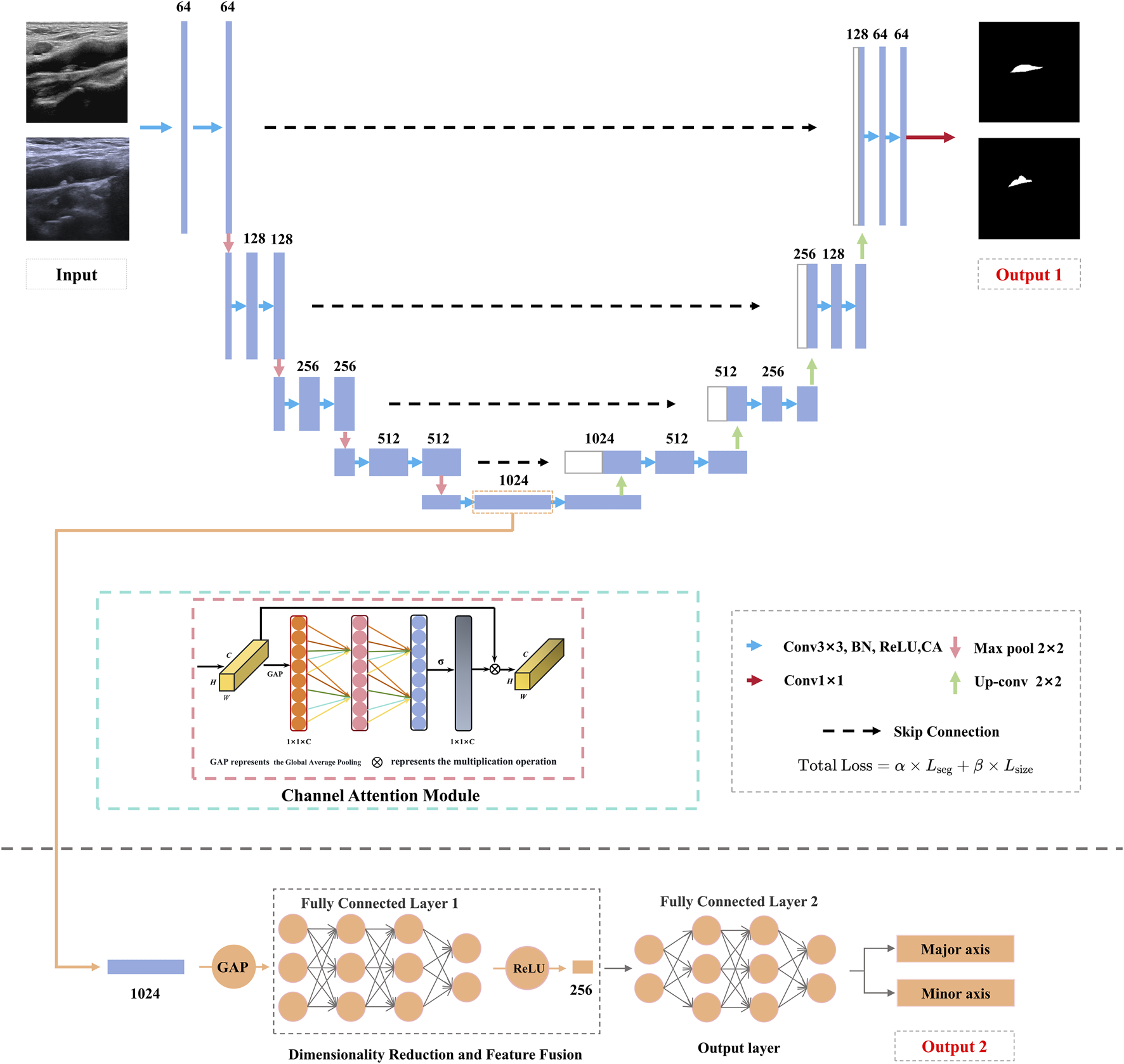 Flowchart showing a deep learning model architecture for image processing. Features include convolutional layers, max pool, up-convolution, skip connections, and output layers. A channel attention module and dimensionality reduction occur before two outputs: segmented images and axis measurements.