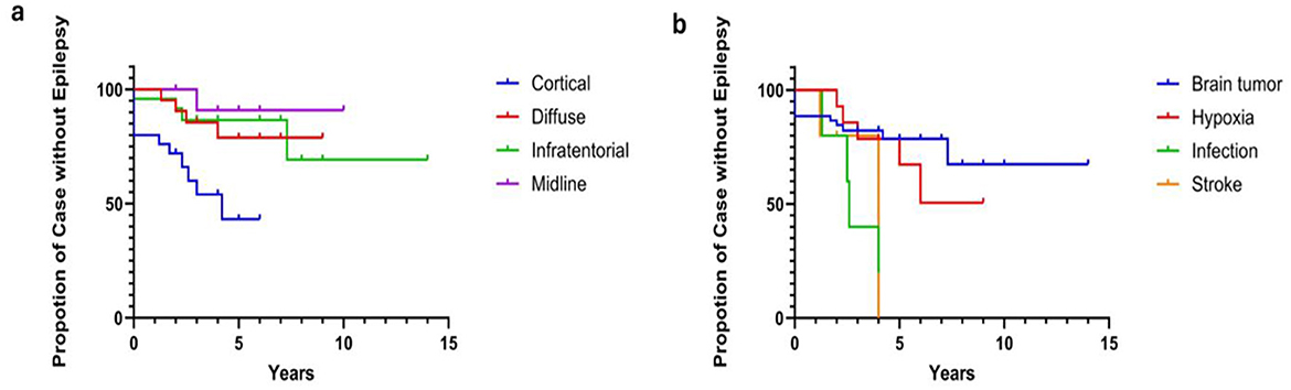 Two Kaplan-Meier survival curves showing the proportion of cases without epilepsy over 15 years. Panel a compares cortical, diffuse, infratentorial, and midline tracts. Panel b compares cases with brain tumors, hypoxia, infection, and stroke.