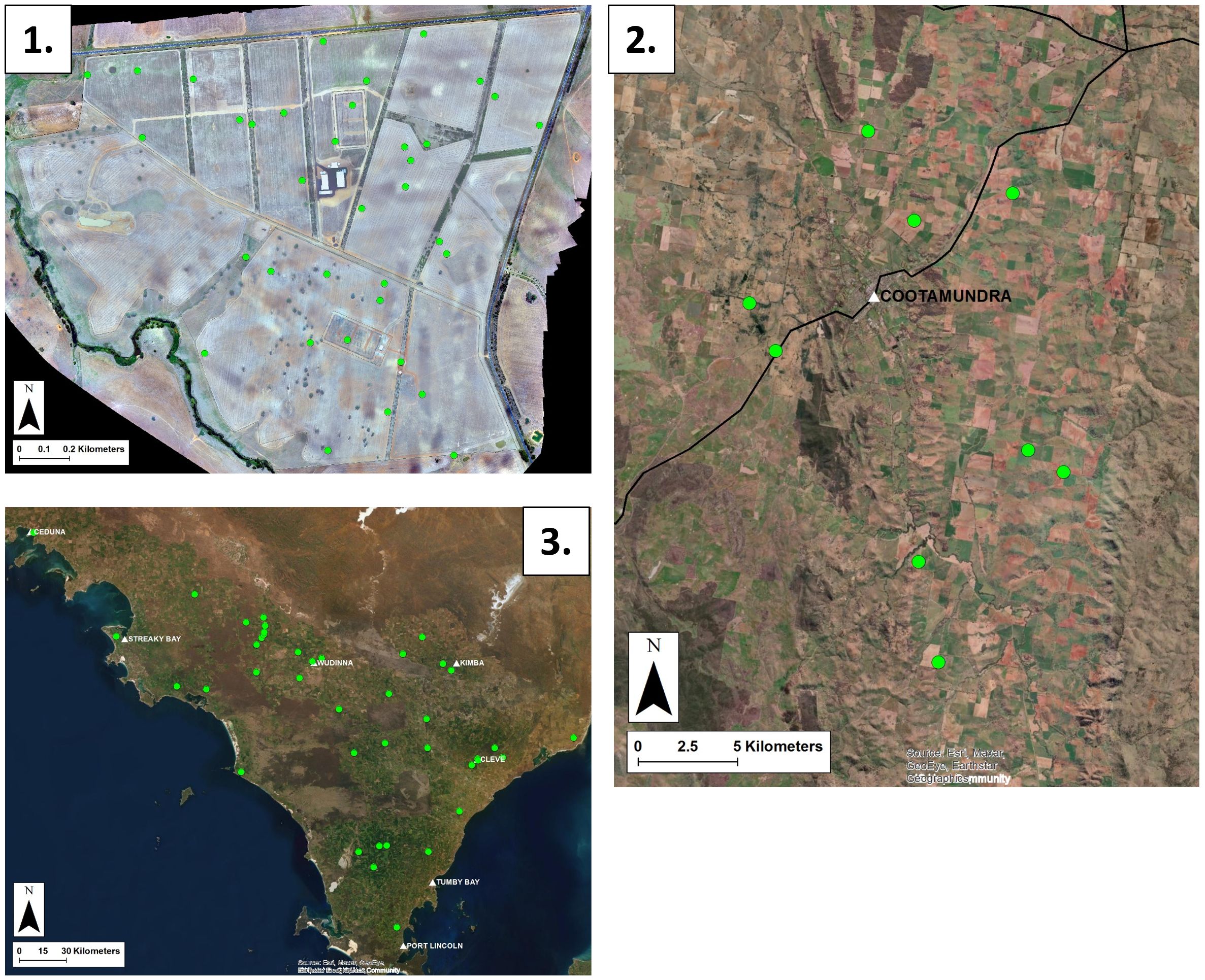Three satellite images with green dots indicating specific locations: 1. Shows a geometric agricultural layout with roads and plots in a desert-like area. 2. Displays the region around Cootamundra with scattered fields and a road network. 3. Depicts a map of southern Australia, including areas near the coast, with dots marking multiple locations.