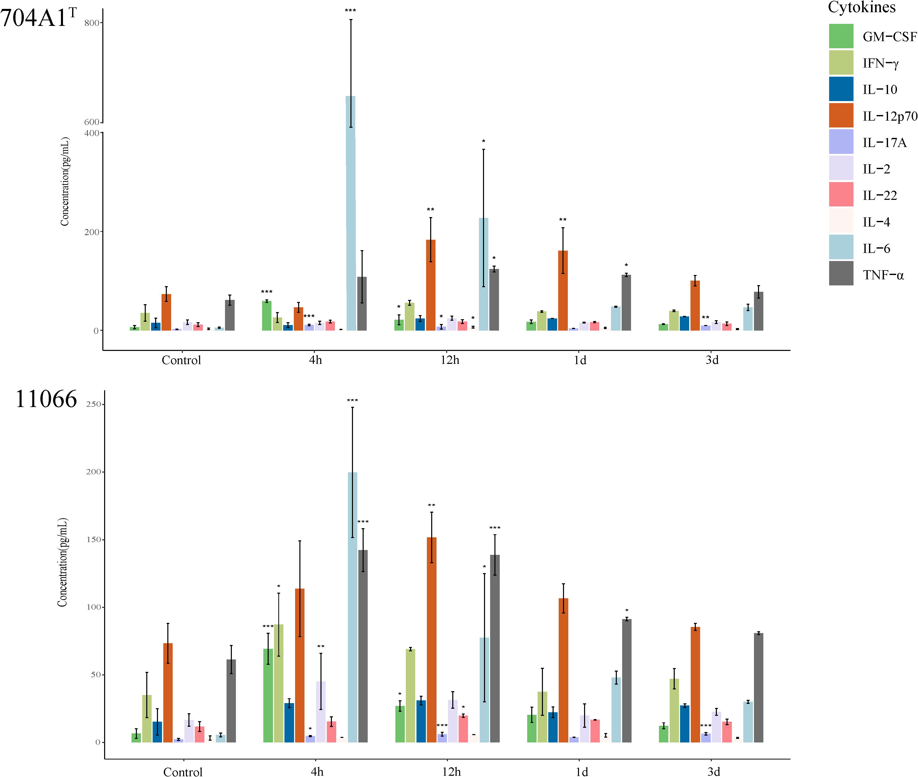 Two bar graphs depict cytokine concentrations over time. The top graph shows data for 704A1T, with peaks in IL-6 at 4 hours and IL-12p70 at 12 hours. The bottom graph represents 11066, showing IL-6 peaking at 4 hours and IL-12p70 at 12 hours. Each bar is color-coded by cytokine type, such as GM-CSF, IFN-g, IL-10, and others. Concentrations are measured in picograms per milliliter, with statistical significance indicated by asterisks.