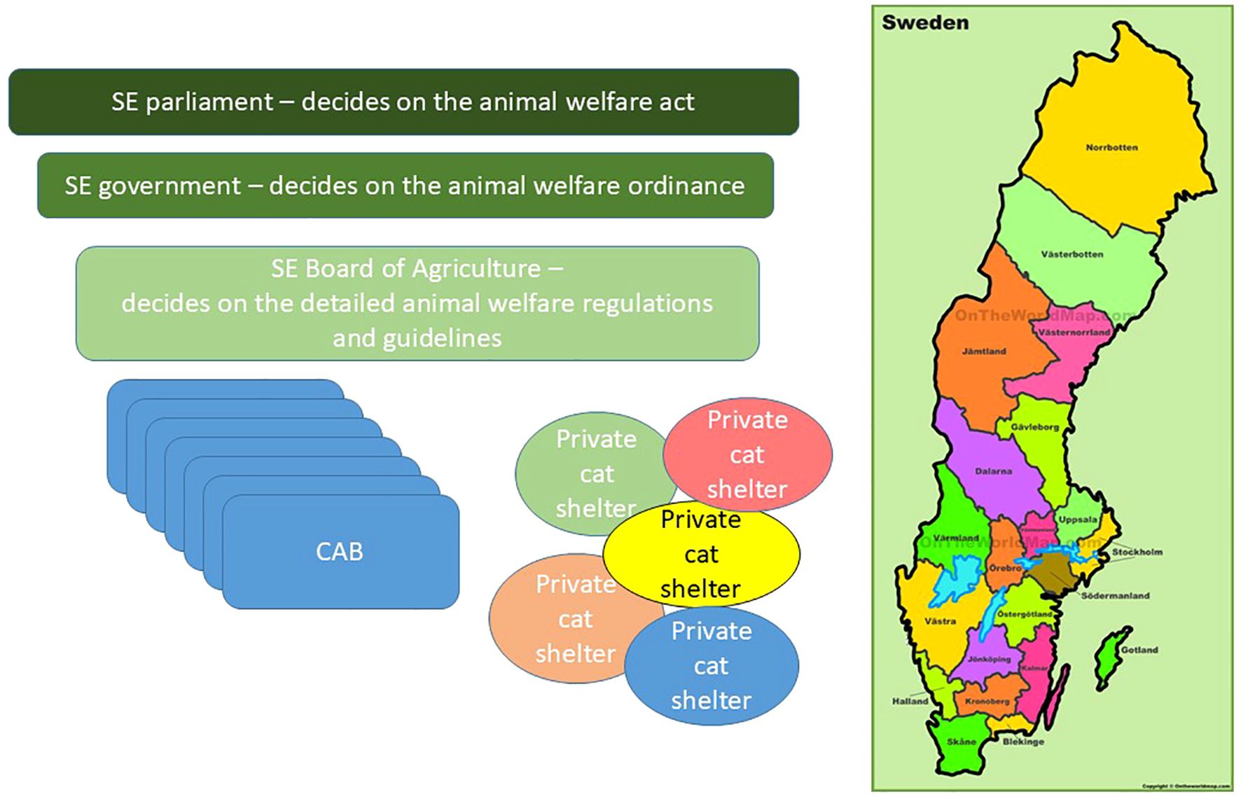 Flowchart showing the decision-making process for animal welfare in Sweden alongside a map of Swedish counties. The Swedish parliament decides on the animal welfare act, the government on the animal welfare ordinance, and the Board of Agriculture on detailed regulations. There are references to multiple “CAB” units and various “Private cat shelters.” The map highlights different counties with distinct colors.
