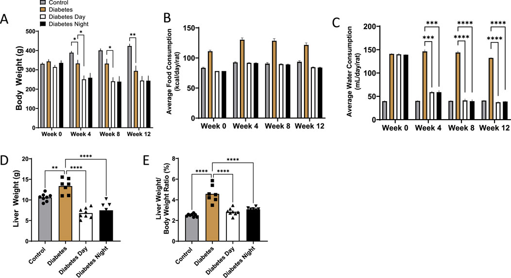 Bar graphs illustrating various health metrics for control and diabetic groups, segmented by time and condition. Graph A shows body weight changes, B highlights average food consumption, and C displays water consumption. Graph D compares liver weights, while E shows liver weight to body weight ratio. Significant differences are marked by asterisks.