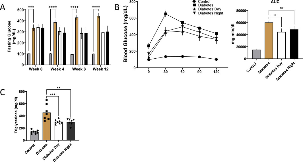 Three graphs depicting glucose and triglyceride levels. Graph A shows fasting glucose levels over 12 weeks with significant differences between groups. Graph B displays blood glucose levels and area under the curve (AUC) for different groups with significant differences in AUC. Graph C shows triglyceride levels, highlighting significant differences between groups.