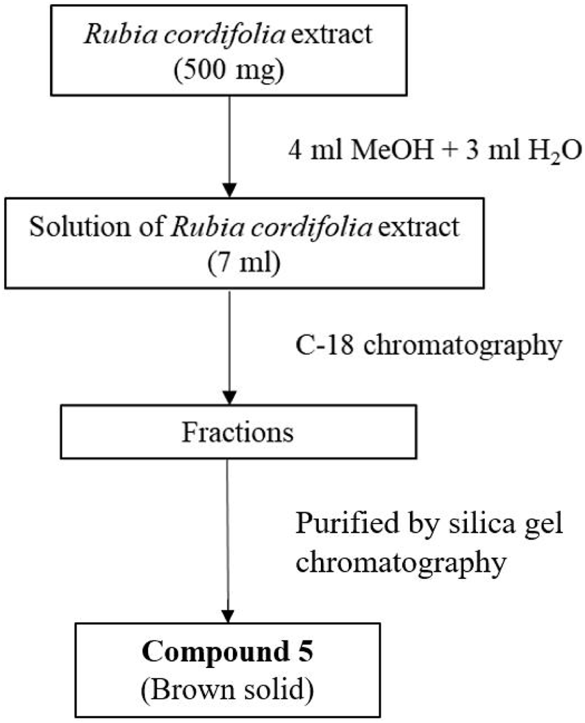 Flowchart showing the purification process of Rubia cordifolia extract. It starts with 500 milligrams of extract dissolved in 4 milliliters of methanol and 3 milliliters of water, resulting in a 7 milliliter solution. This solution undergoes C-18 chromatography, producing fractions. These fractions are then purified by silica gel chromatography to yield Compound 5, a brown solid.