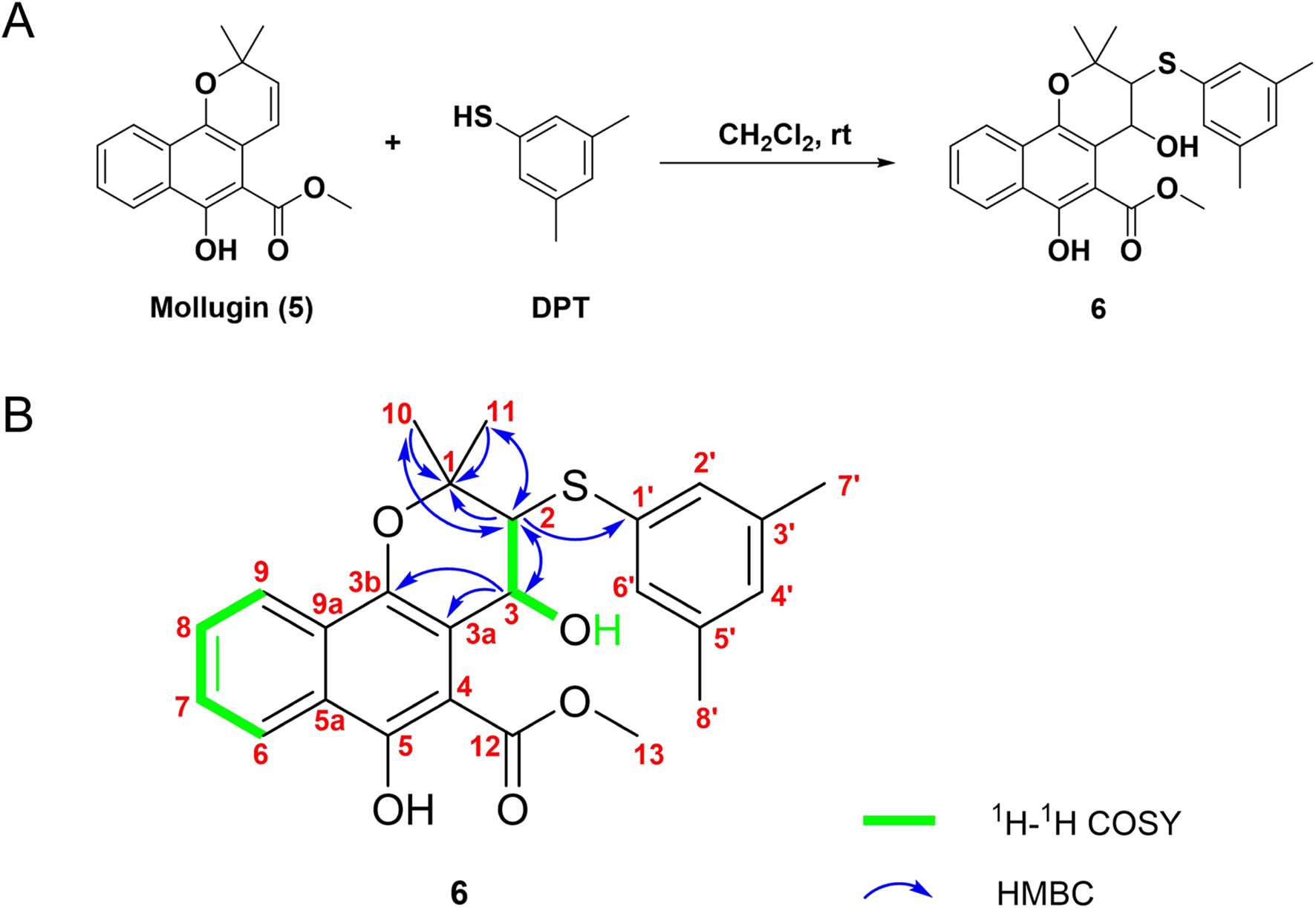 A diagram with two sections. Part A shows a chemical reaction between Mollugin (5) and DPT using dichloromethane at room temperature, forming compound 6. Part B depicts the structural analysis of compound 6, highlighting interactions using COSY in green and HMBC in blue arrows. Each atom is labeled with red numbers to indicate positions.