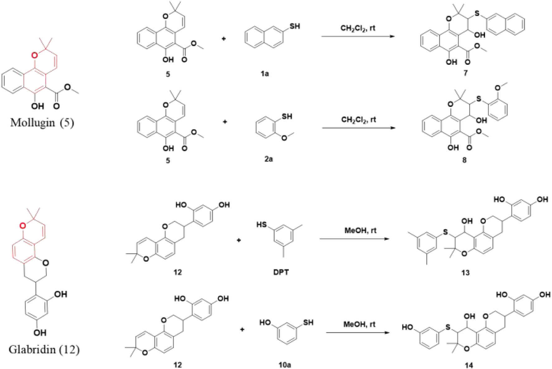 Chemical reaction diagram depicting transformations of Mollugin and Glabridin. Mollugin (5) reacts with thiol compounds (1a and 2a) in the presence of dichloromethane at room temperature to form products 7 and 8. Glabridin (12) reacts with thiol compounds (DPT and 10a) in methanol at room temperature to form products 13 and 14. Chemical structures and reaction conditions are shown.