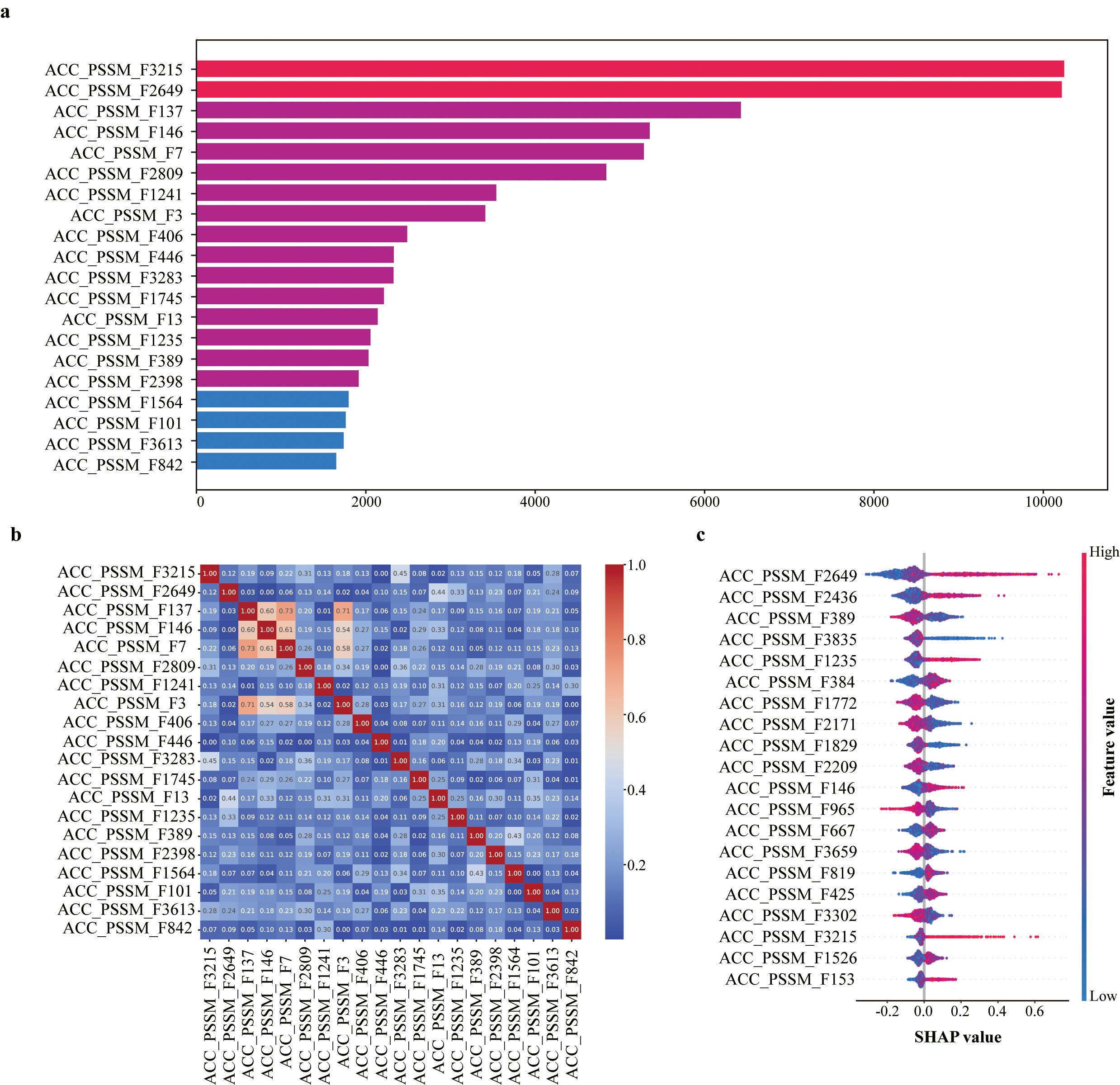 a. Bar chart showing feature importance with ACC_PSSM_F3215 having the highest value above 10,000, followed by other features in descending order. b. Heatmap displaying correlation between features, ranging from red (high correlation) to blue (low correlation). c. SHAP summary plot illustrating the impact of features on model output, with feature values ranging from high (red) to low (blue).